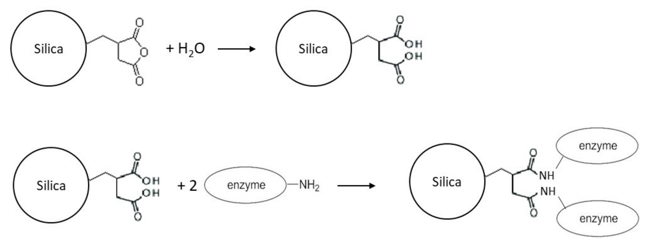 Catalysts 10 00706 sch004 Catalysts 10 00706 sch004
