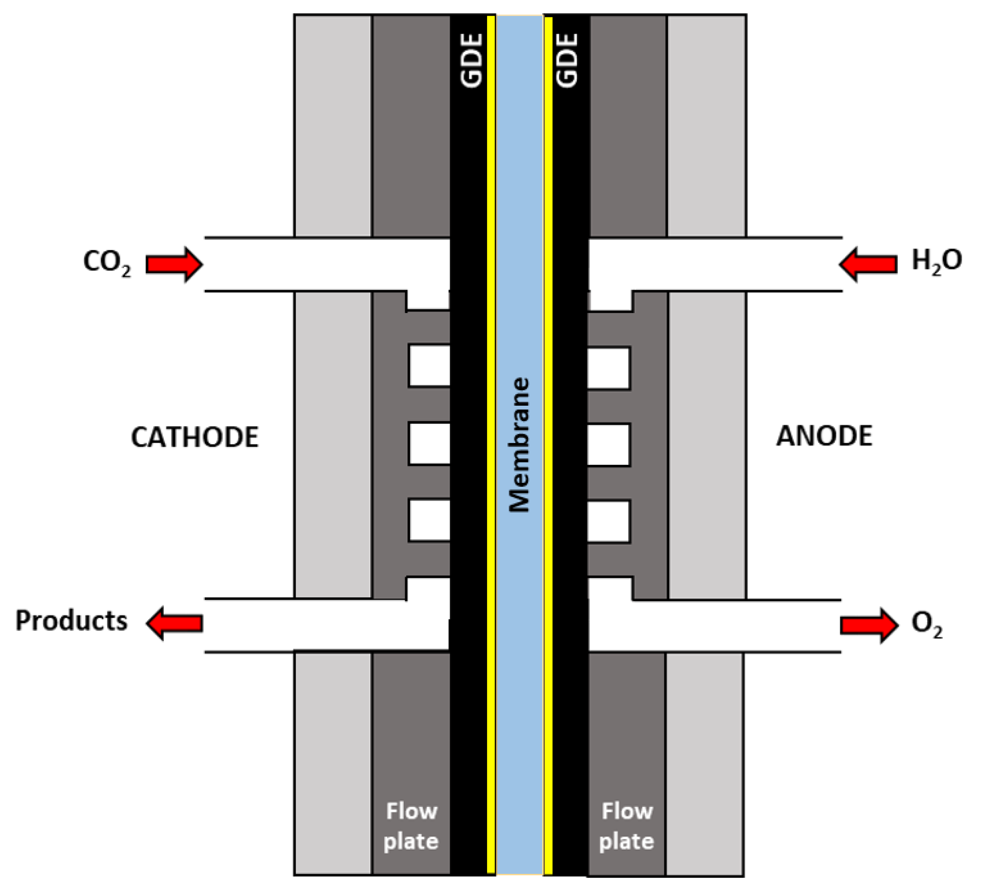 Catalysts 10 00713 g007