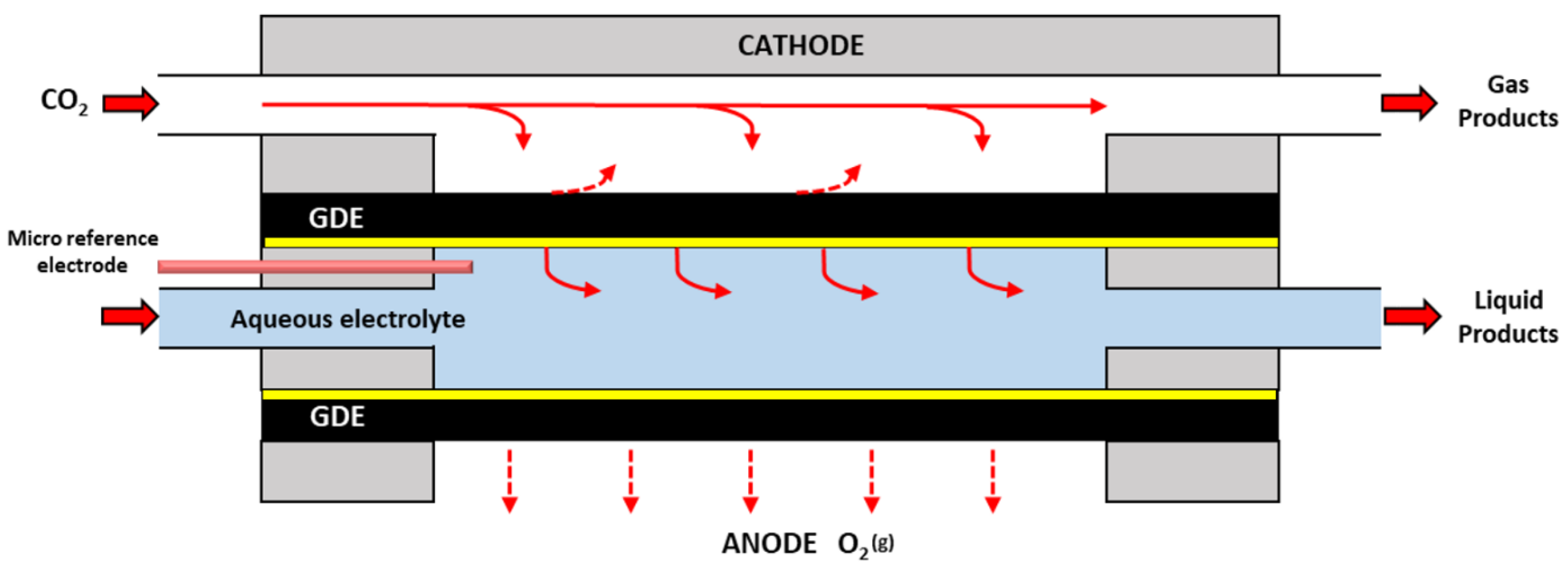 Catalysts 10 00713 g008