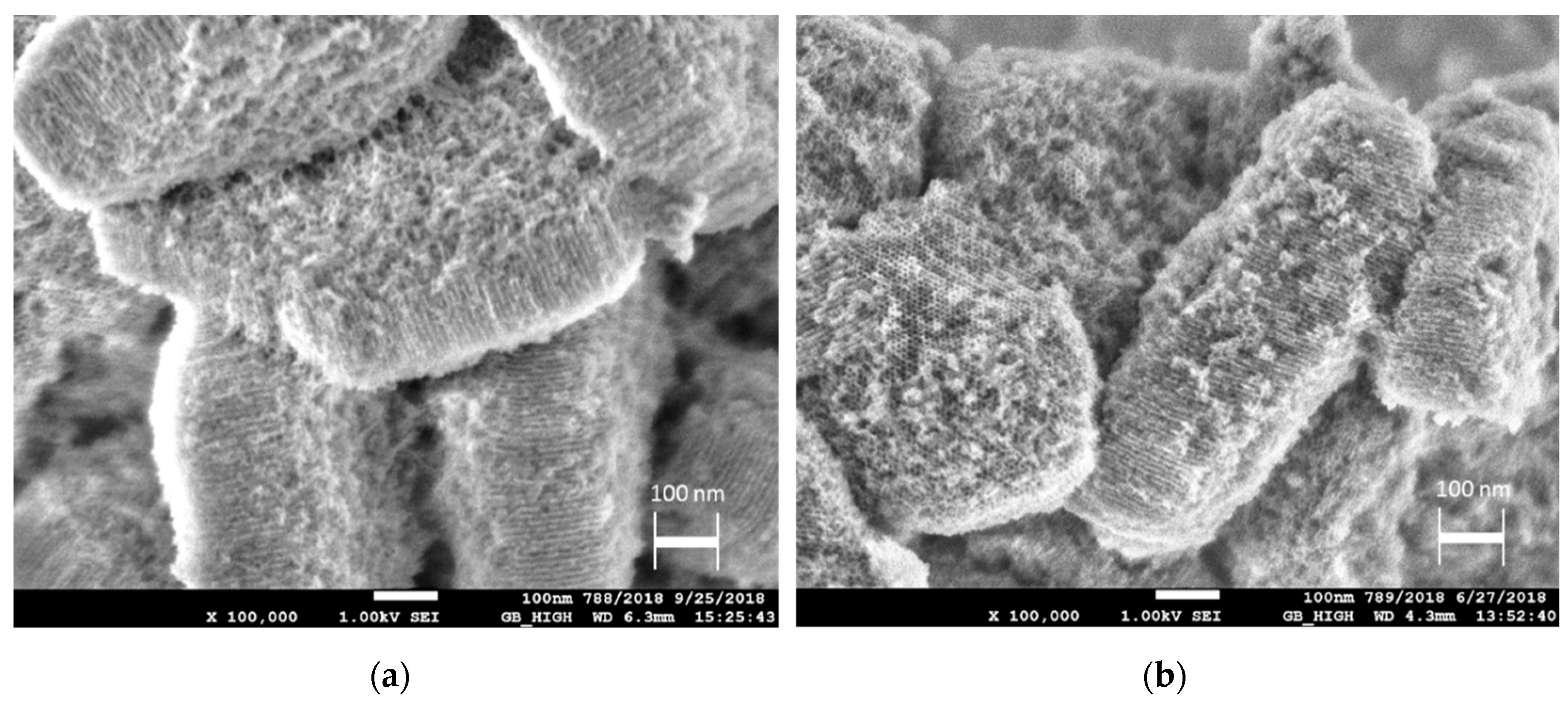 Catalysts 10 00719 g004