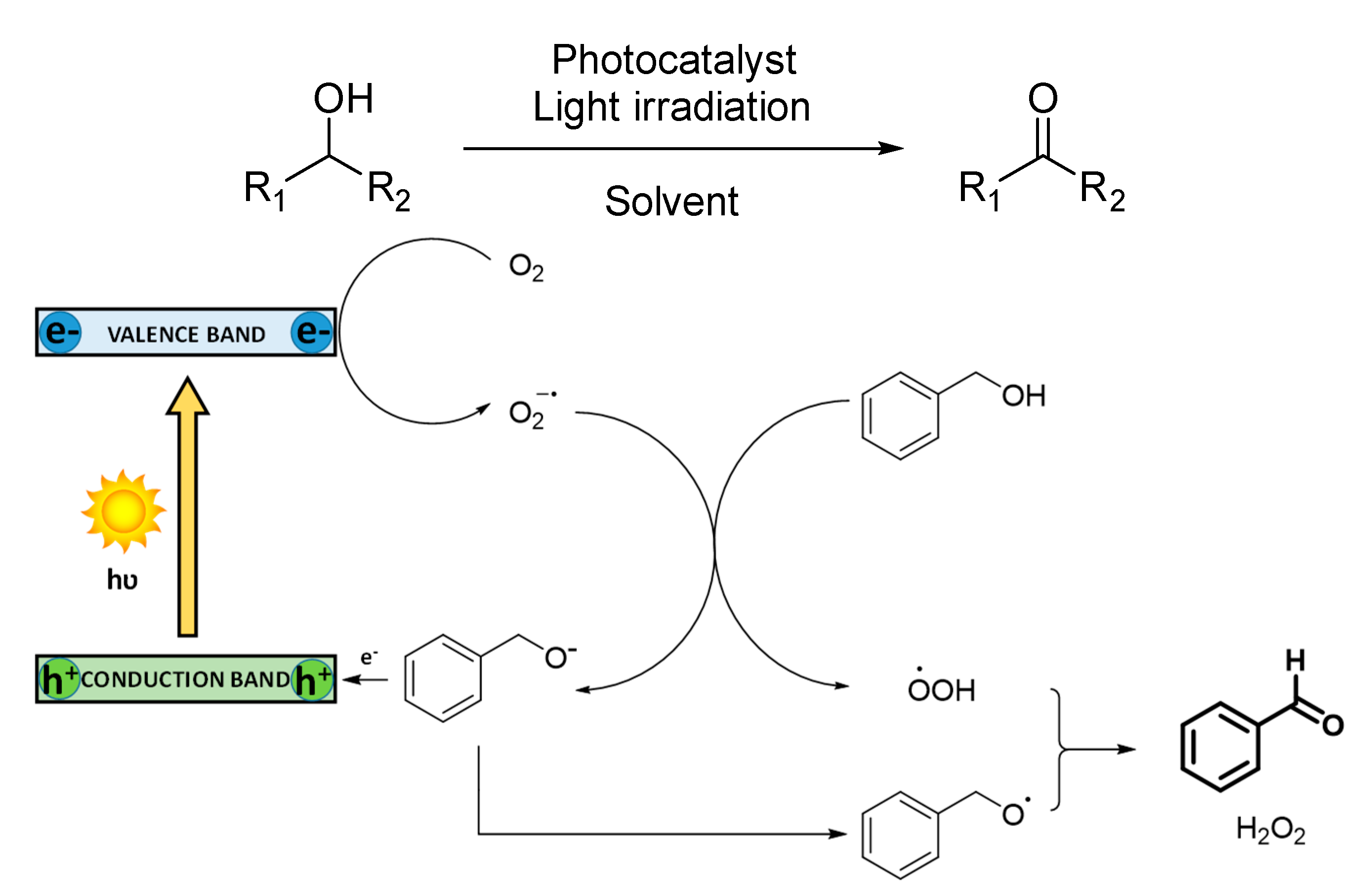 Catalysts Free Full Text Metal Organic Frameworks Mofs And Covalent Organic Frameworks Cofs Applied To Photocatalytic Organic Transformations Html Catalysts Free Full Text Metal Organic Frameworks Mofs And Covalent Organic Frameworks Cofs Applied To Photocatalytic Organic Transformations Html
