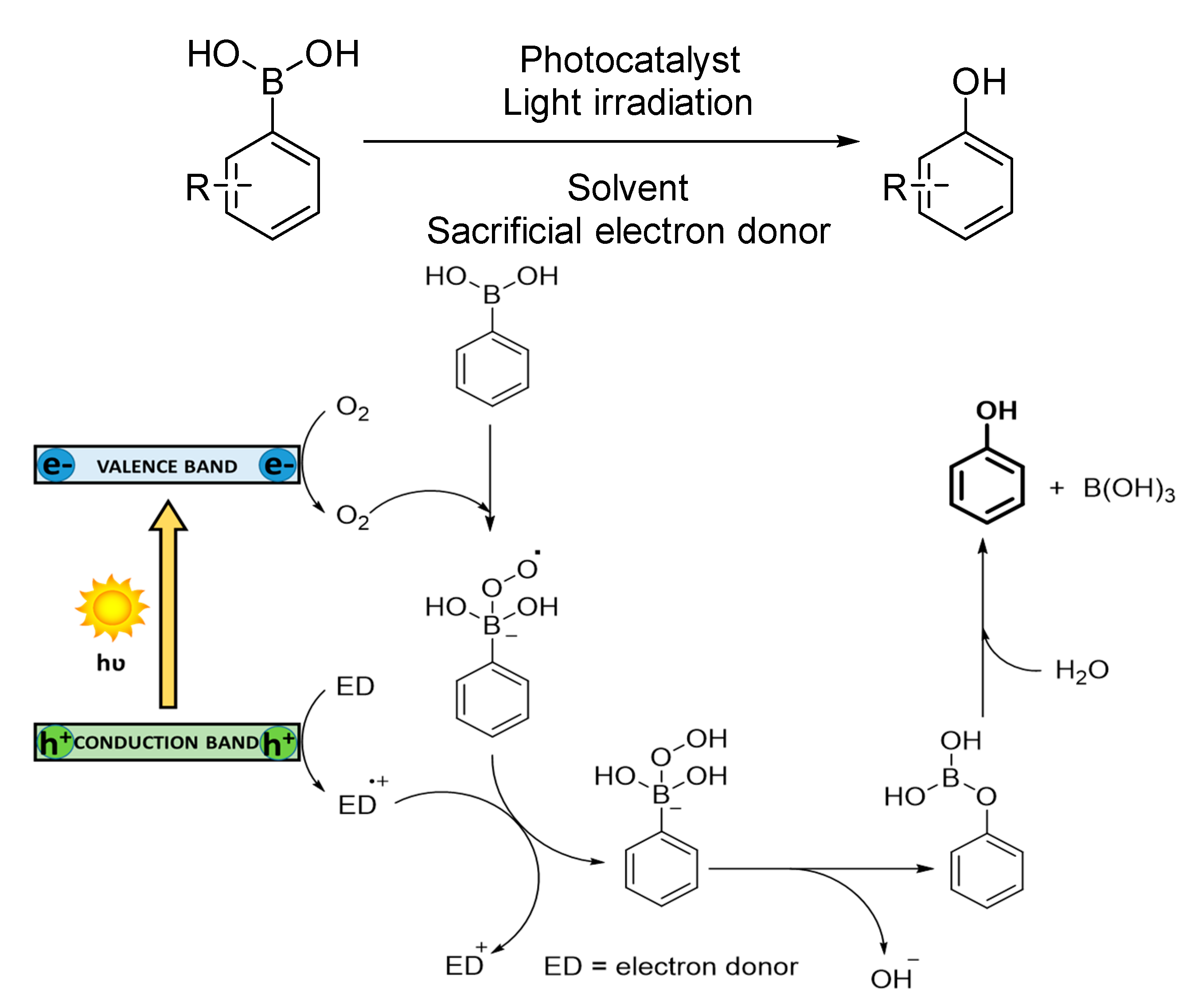 Catalysts 10 00720 sch006