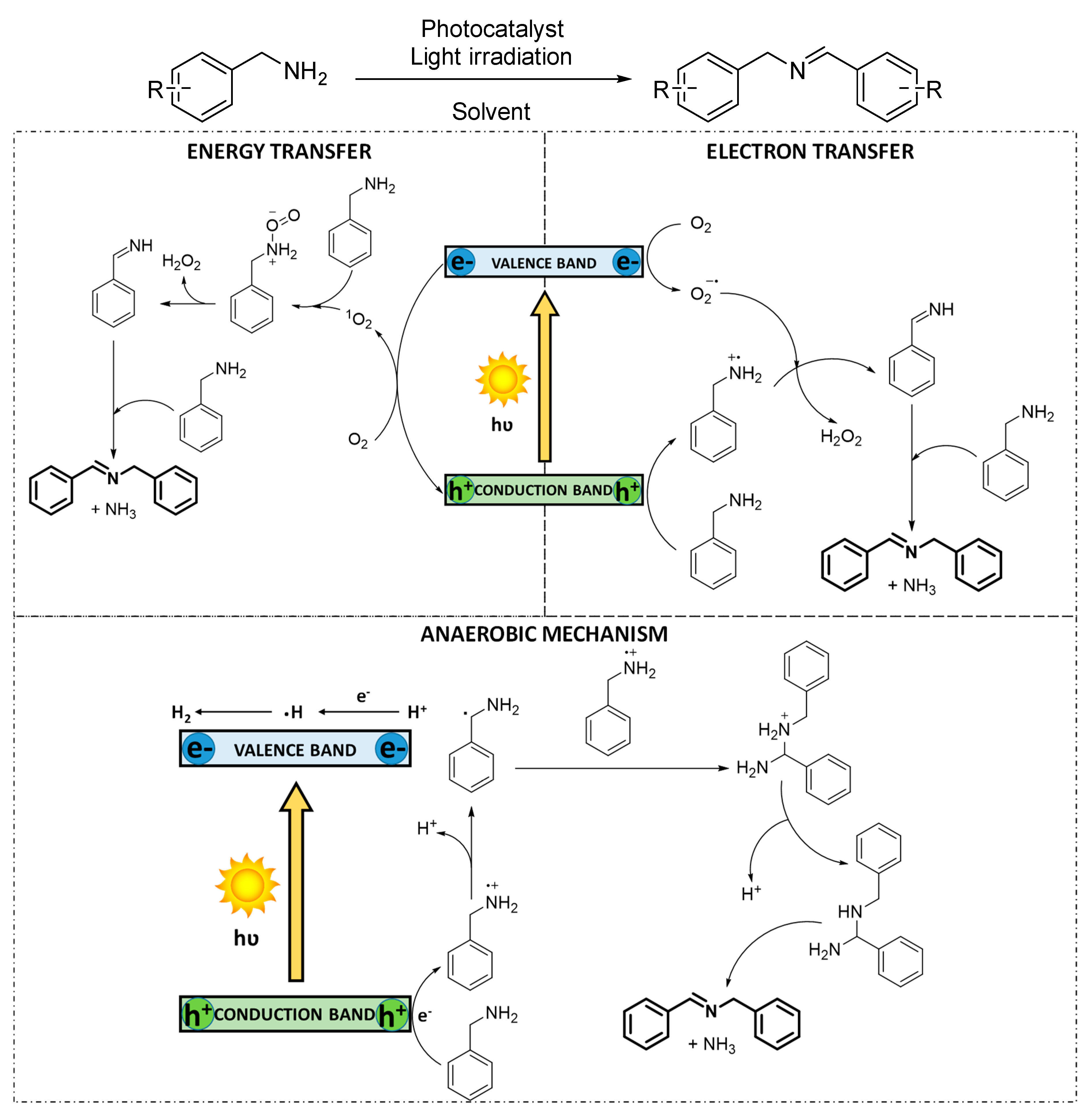 Catalysts 10 00720 sch009