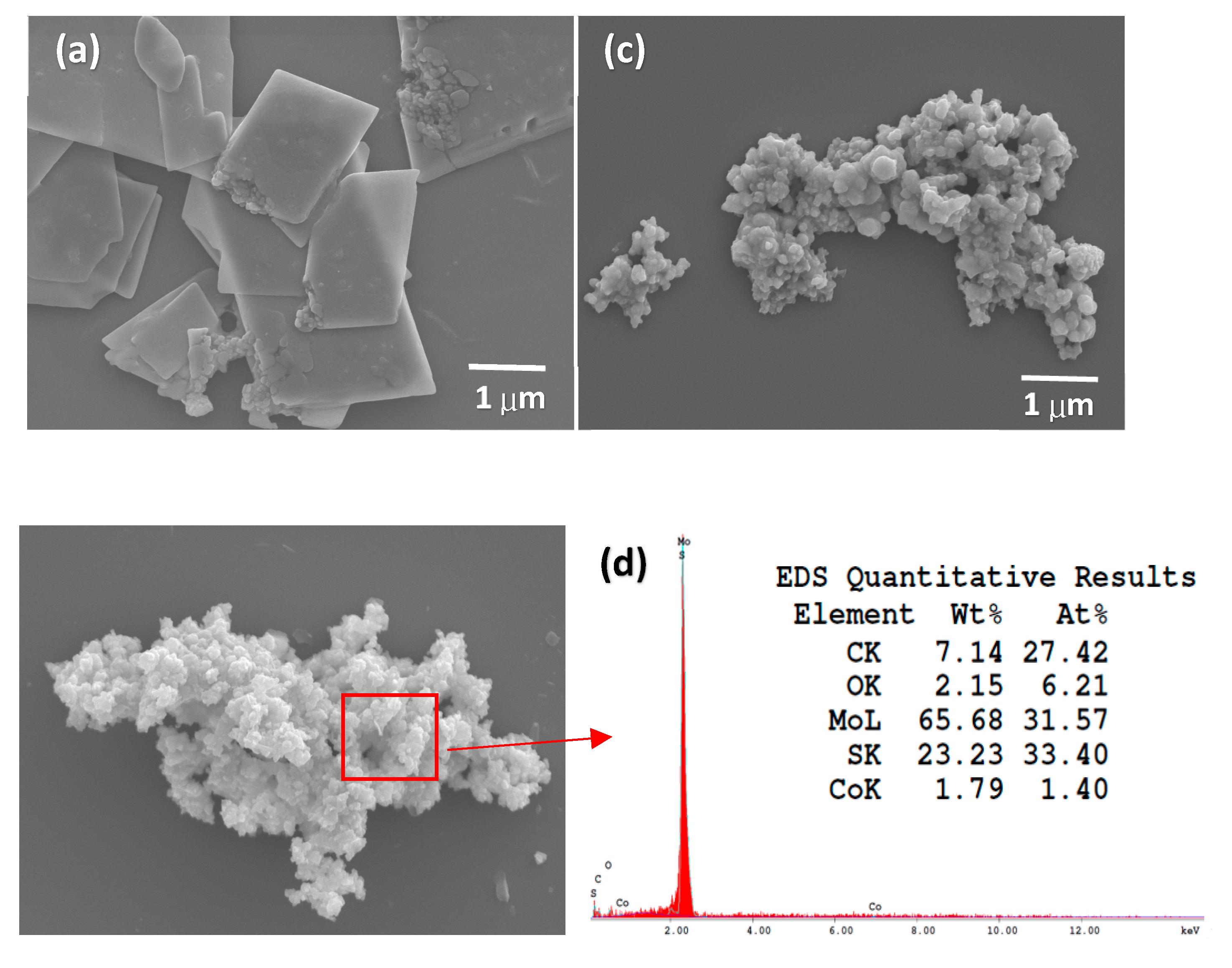 Catalysts 10 00722 g003