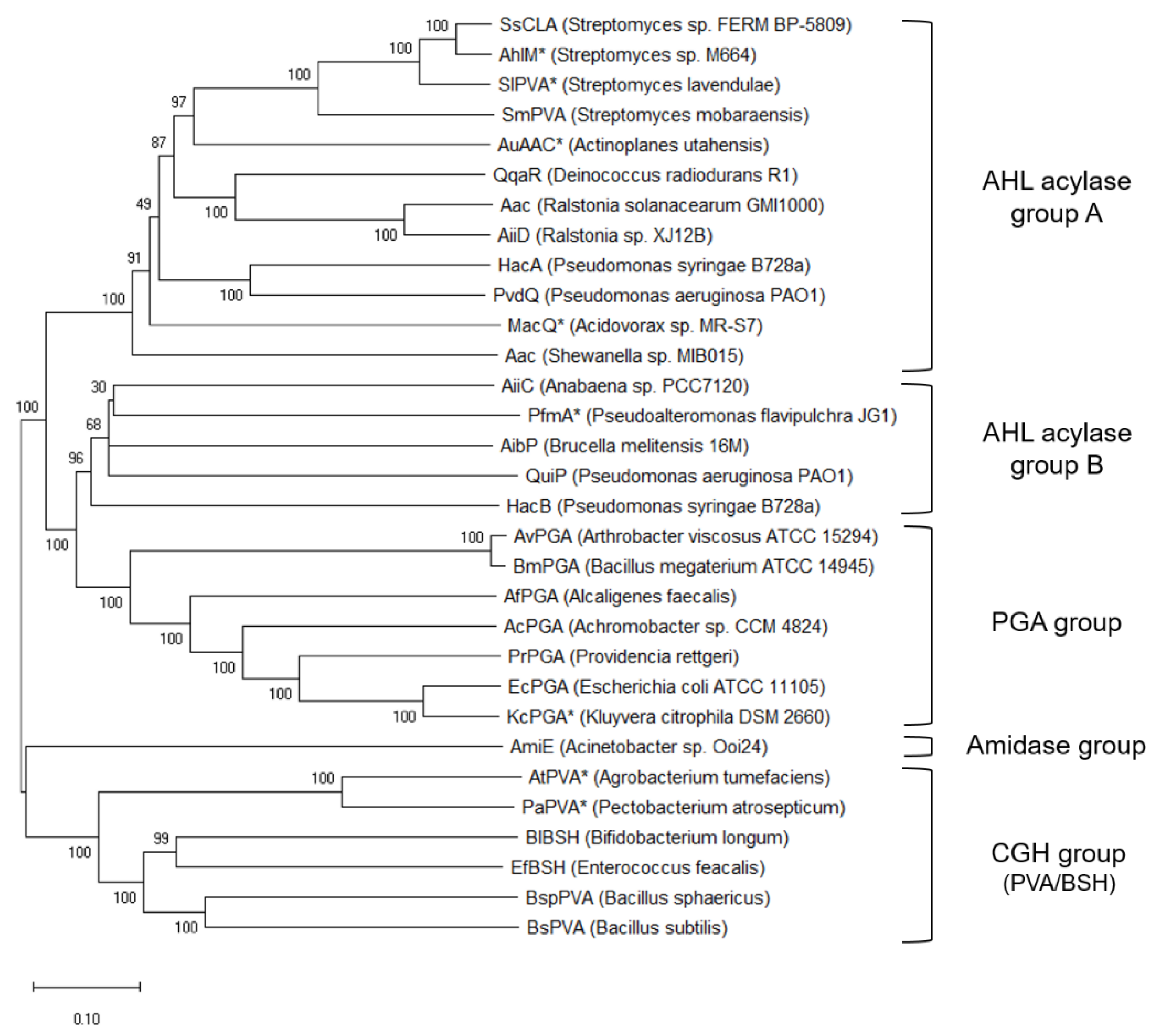 Catalysts 10 00730 g004 Catalysts 10 00730 g004