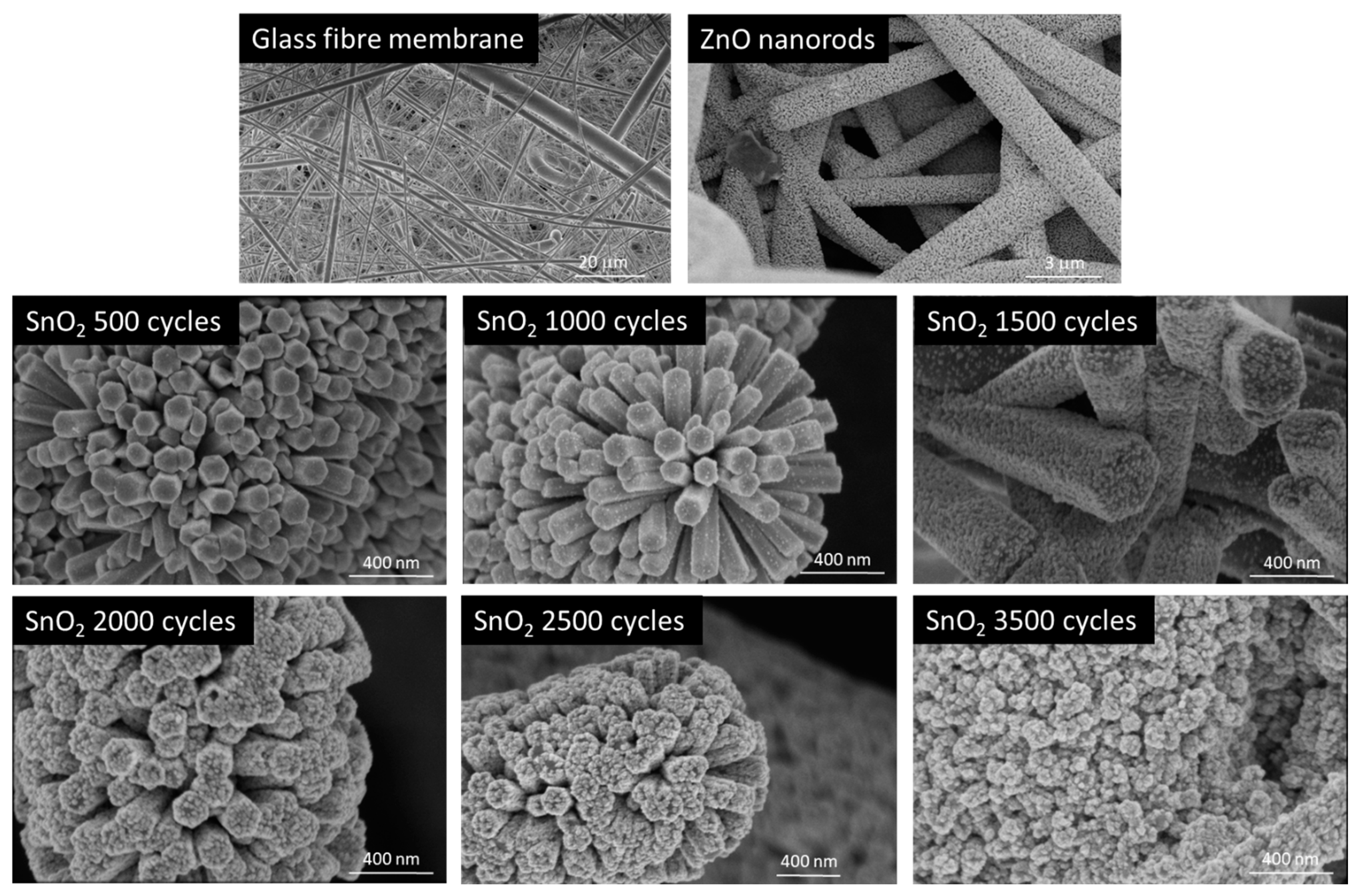 Catalysts 10 00733 g003 Catalysts 10 00733 g003