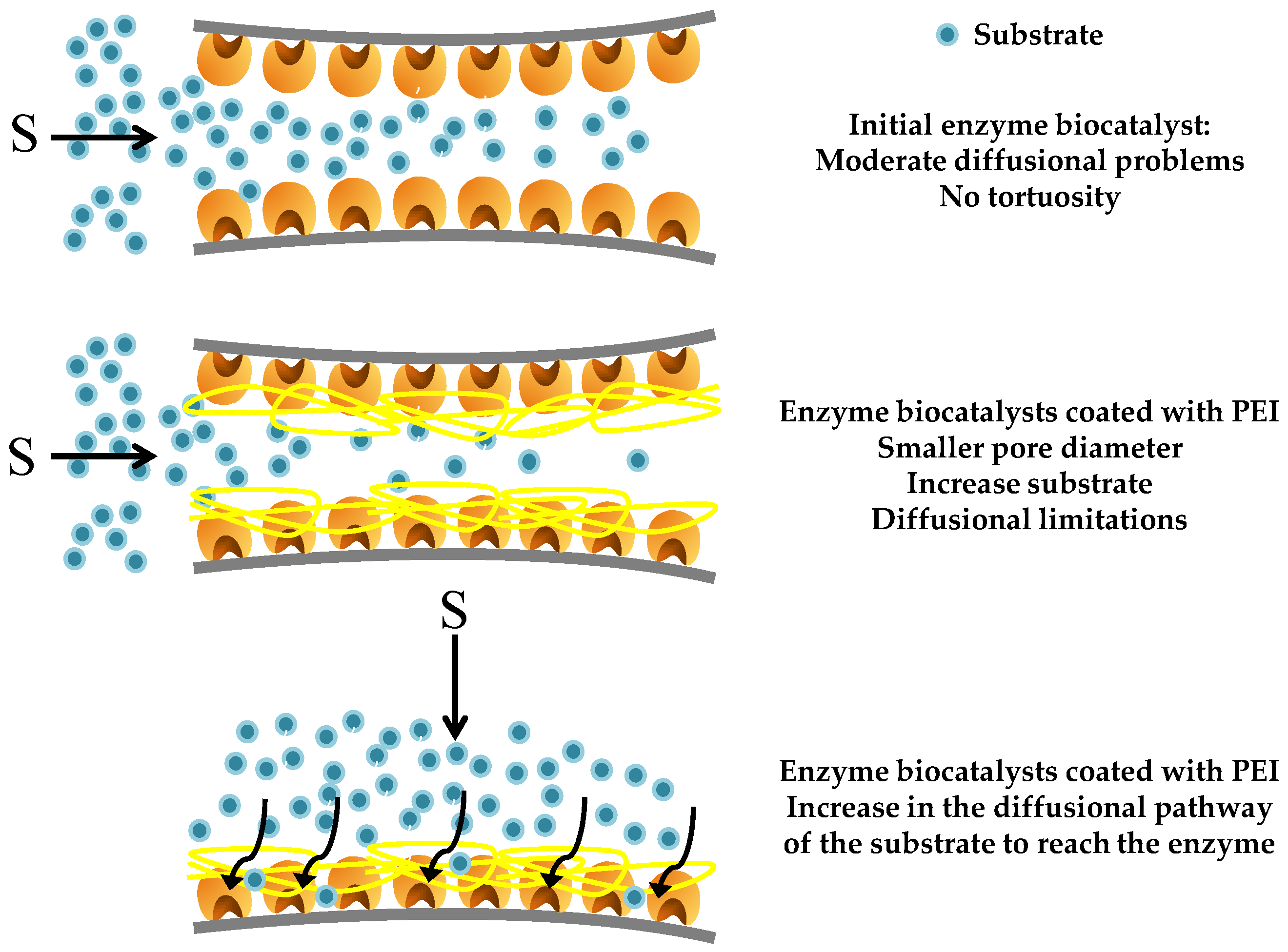 Catalysts 10 00738 g008