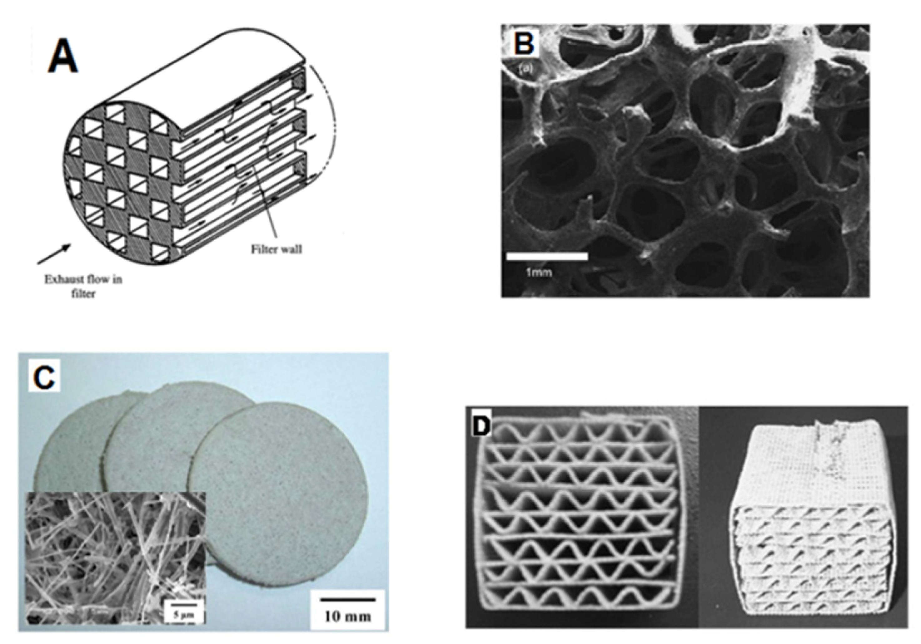 Catalysts 10 00745 g002