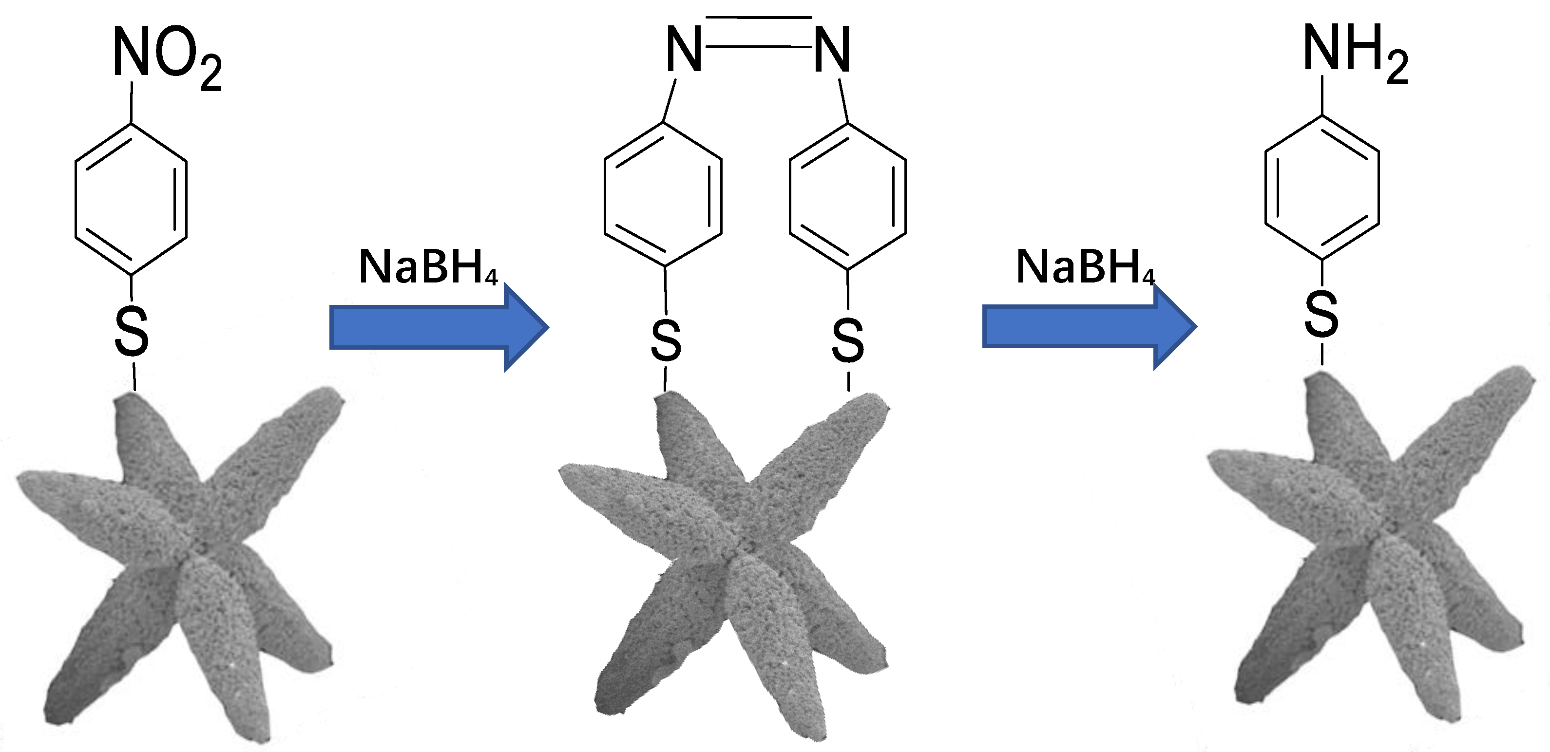 Catalysts 10 00746 g007 Catalysts 10 00746 g007