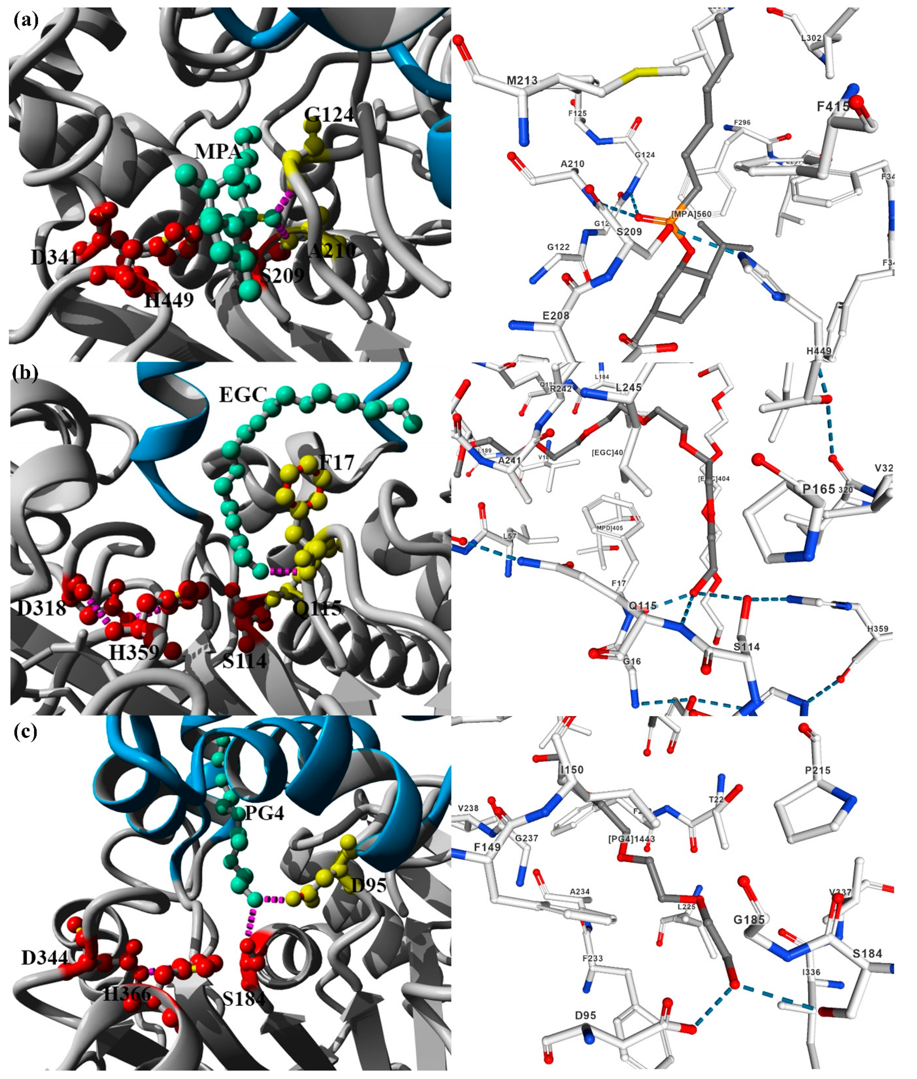 Catalysts 10 00747 g002