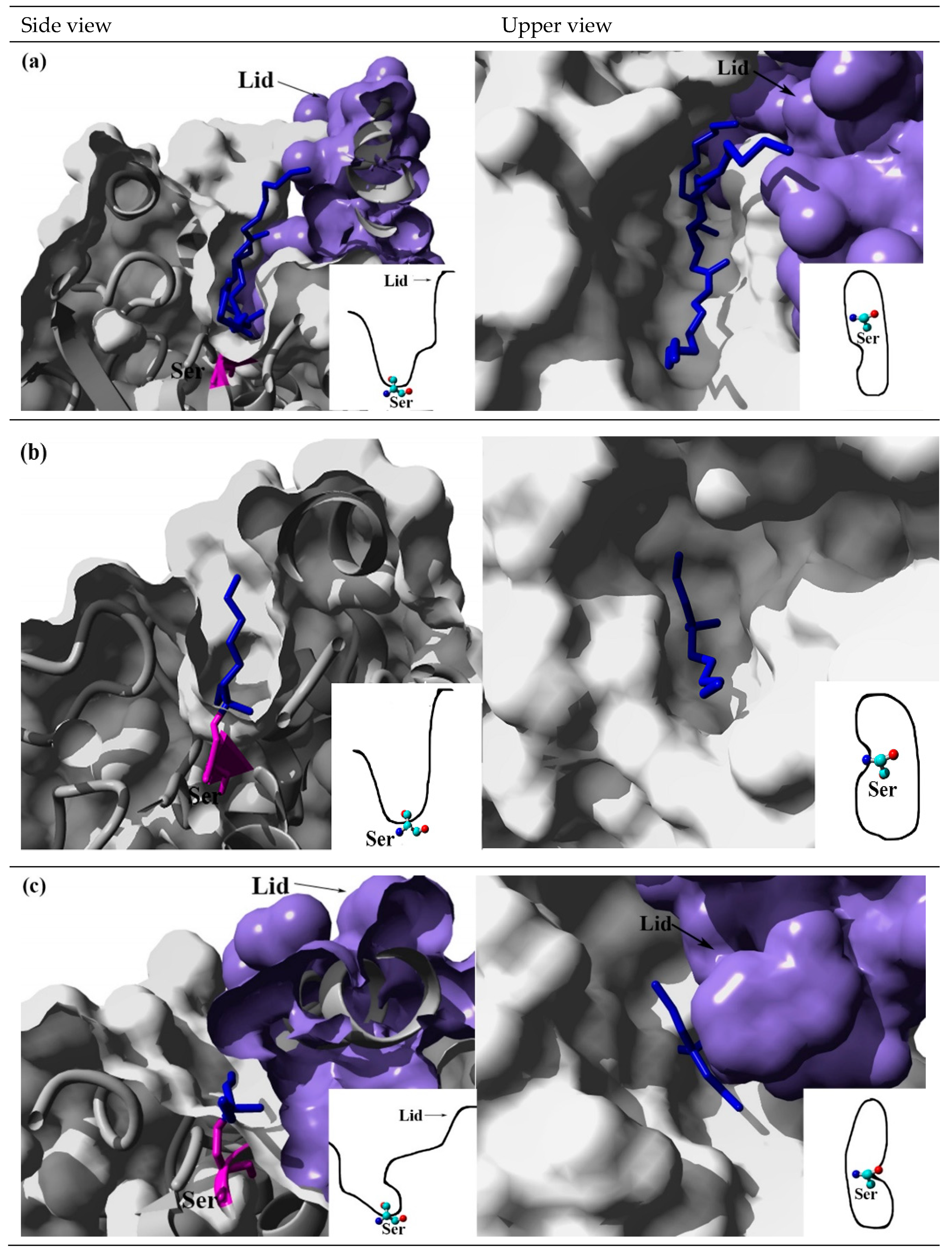 Catalysts 10 00747 g003a
