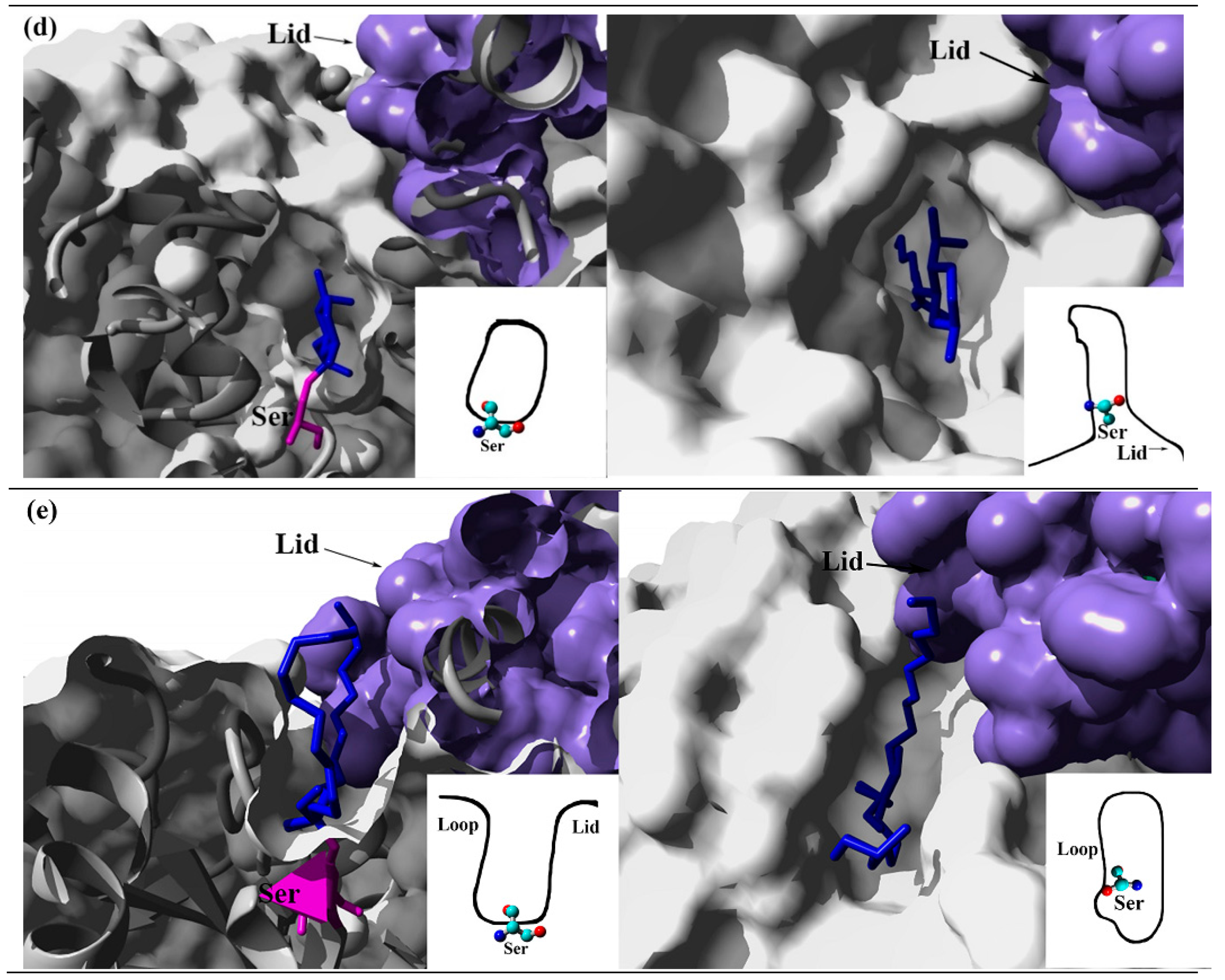 Catalysts 10 00747 g003b