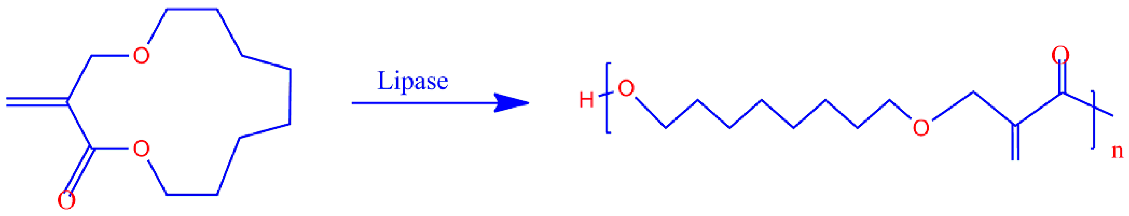 Catalysts 10 00747 g004