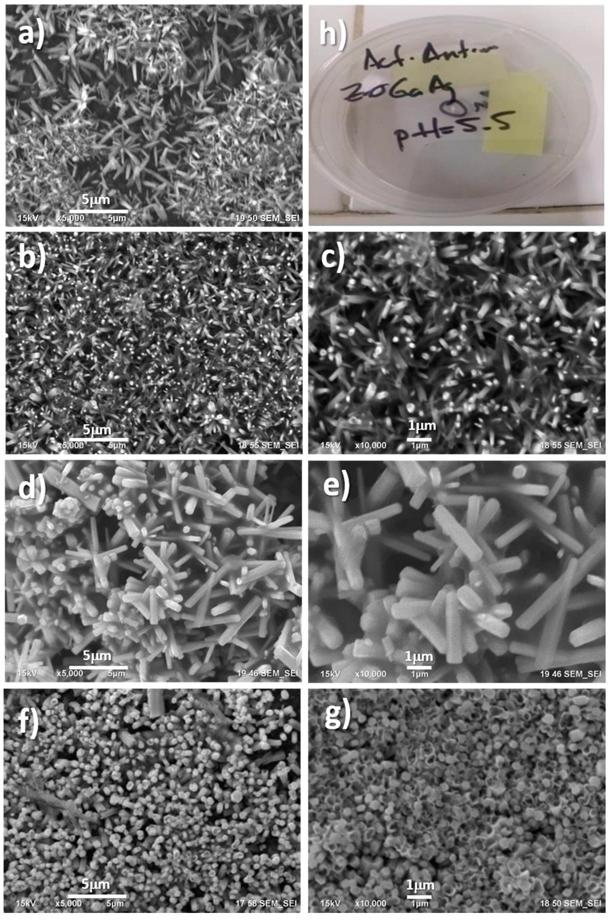 Catalysts 10 00752 g001 Catalysts 10 00752 g001