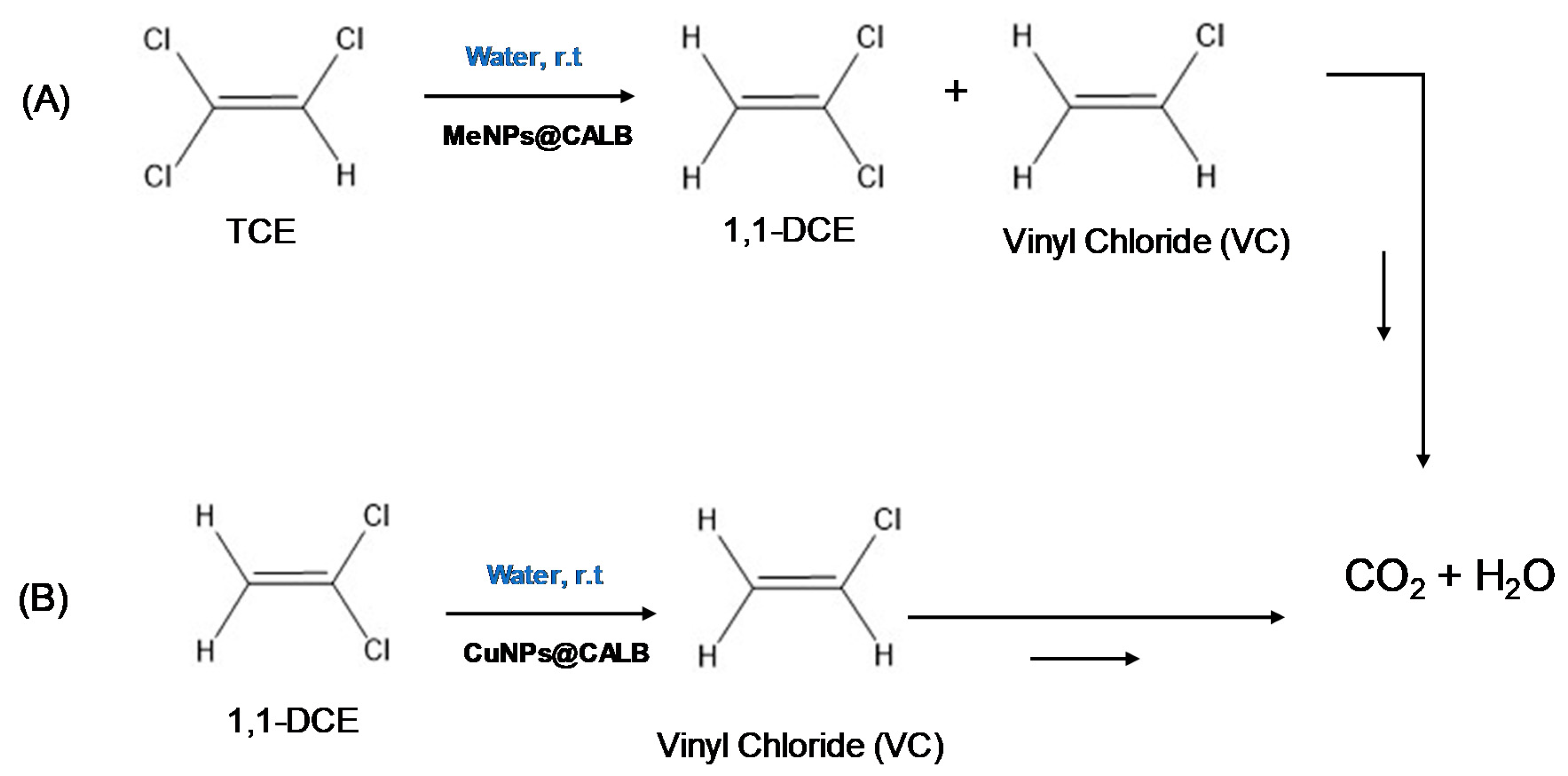 Catalysts 10 00753 g001