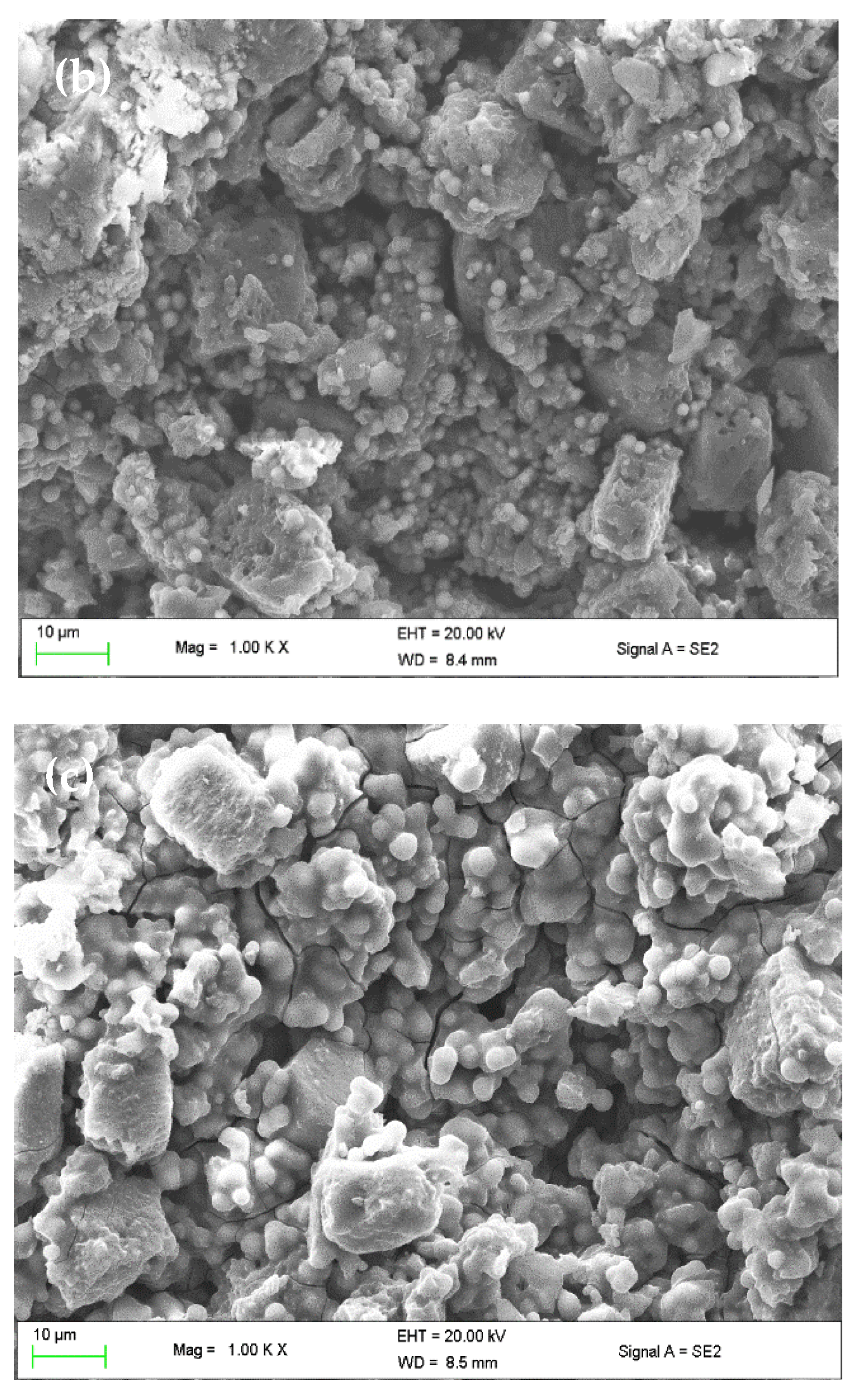Catalysts 10 00755 g003b Catalysts 10 00755 g003b