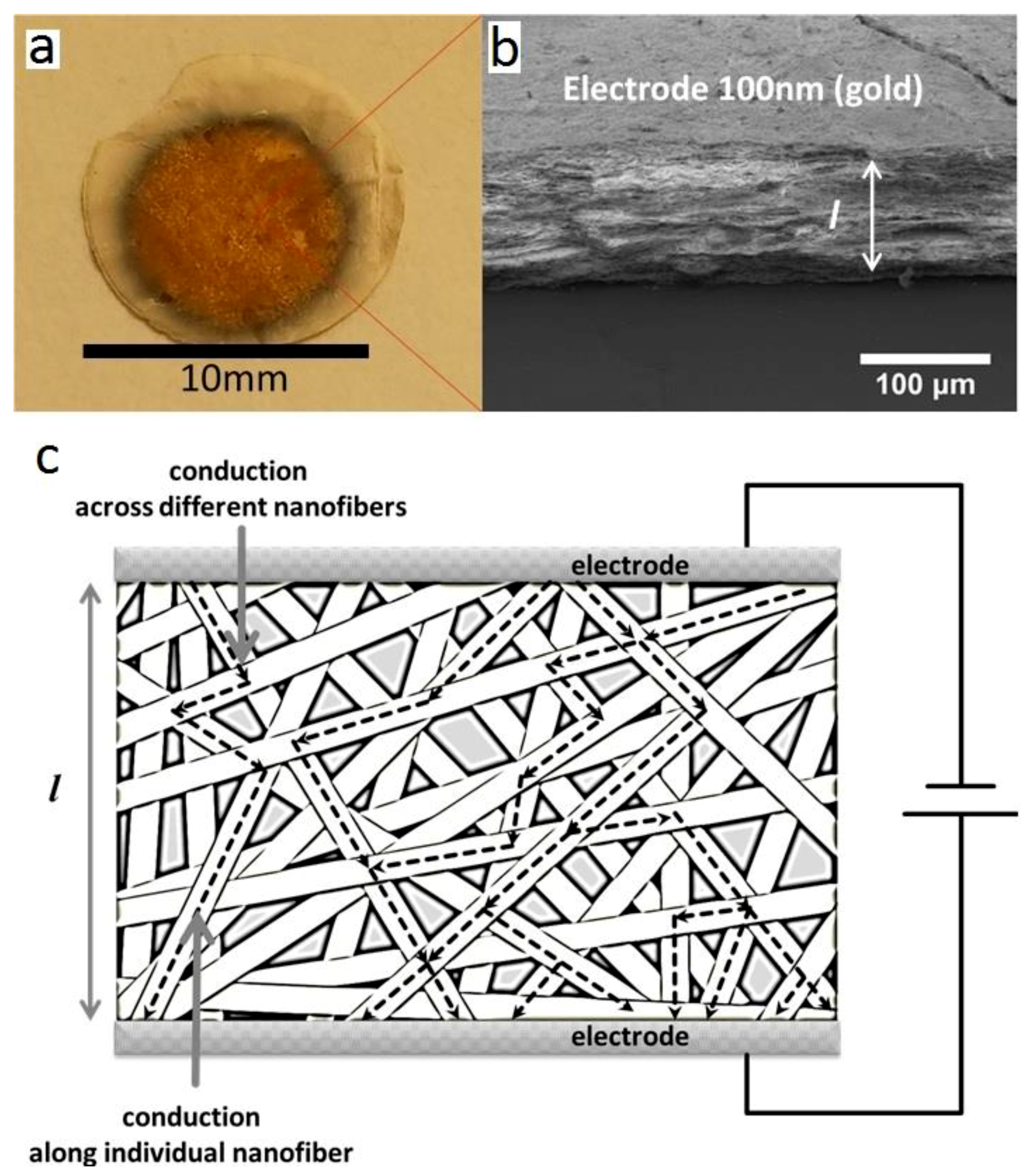 Catalysts 10 00756 g004 Catalysts 10 00756 g004