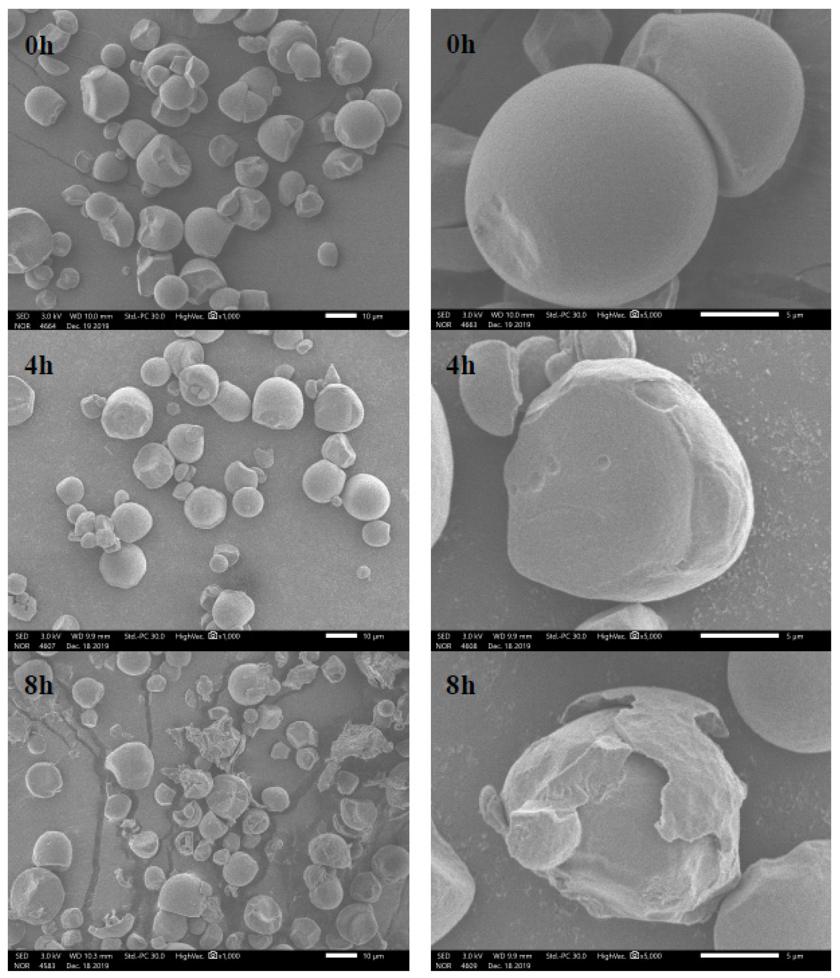 Catalysts 10 00760 g002 Catalysts 10 00760 g002