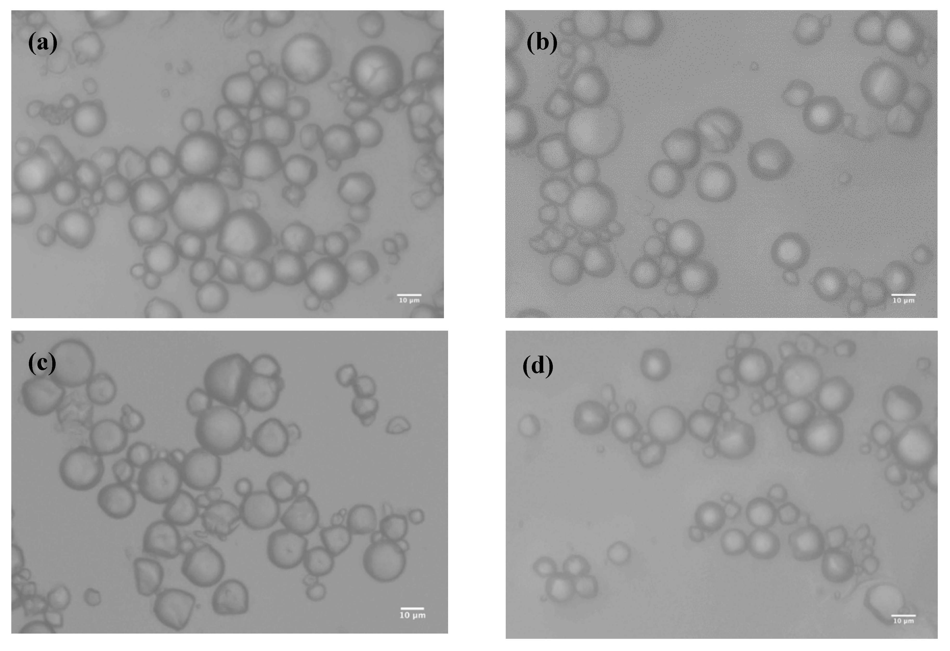 Catalysts 10 00760 g004 Catalysts 10 00760 g004