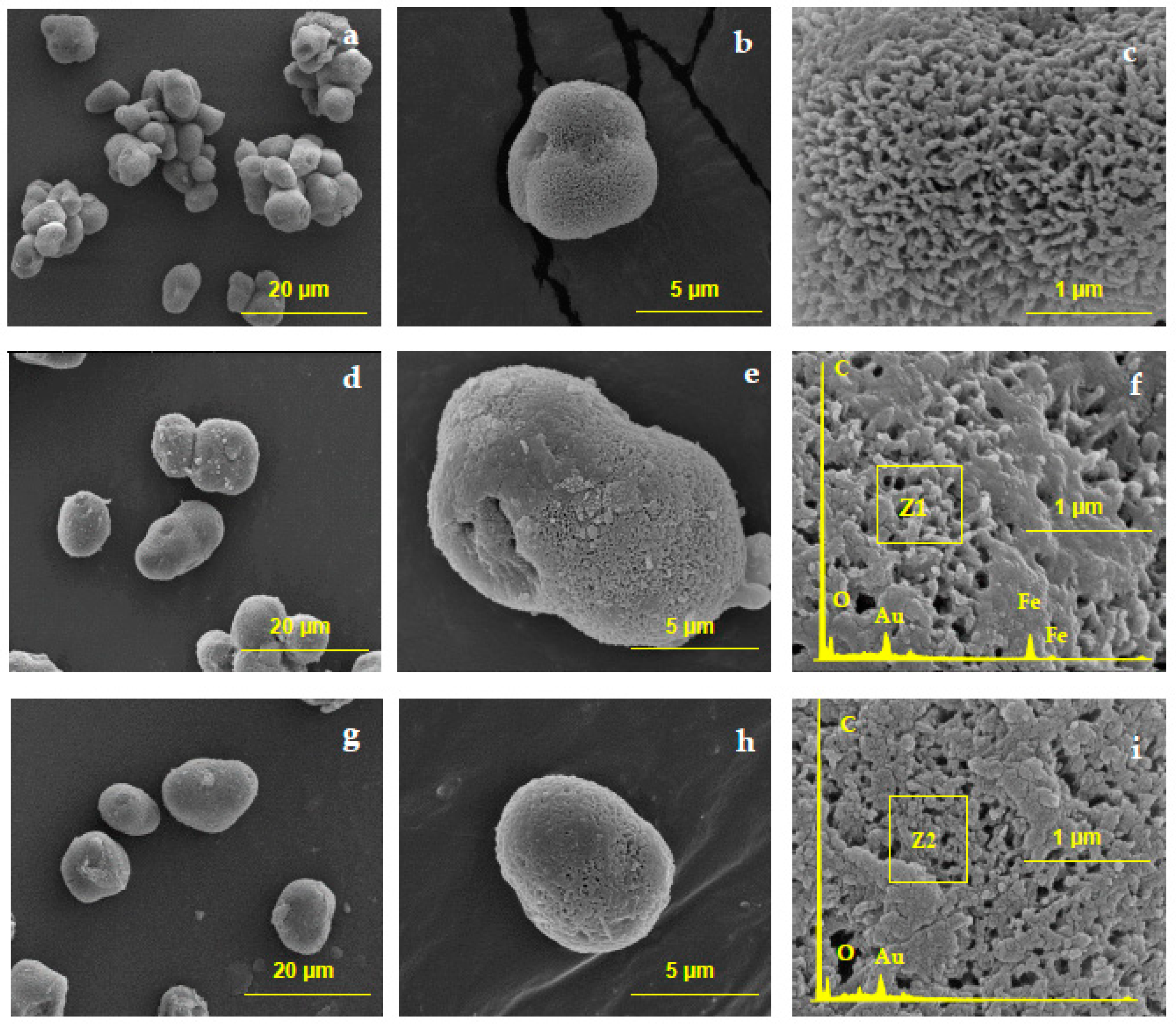 Catalysts 10 00767 g001