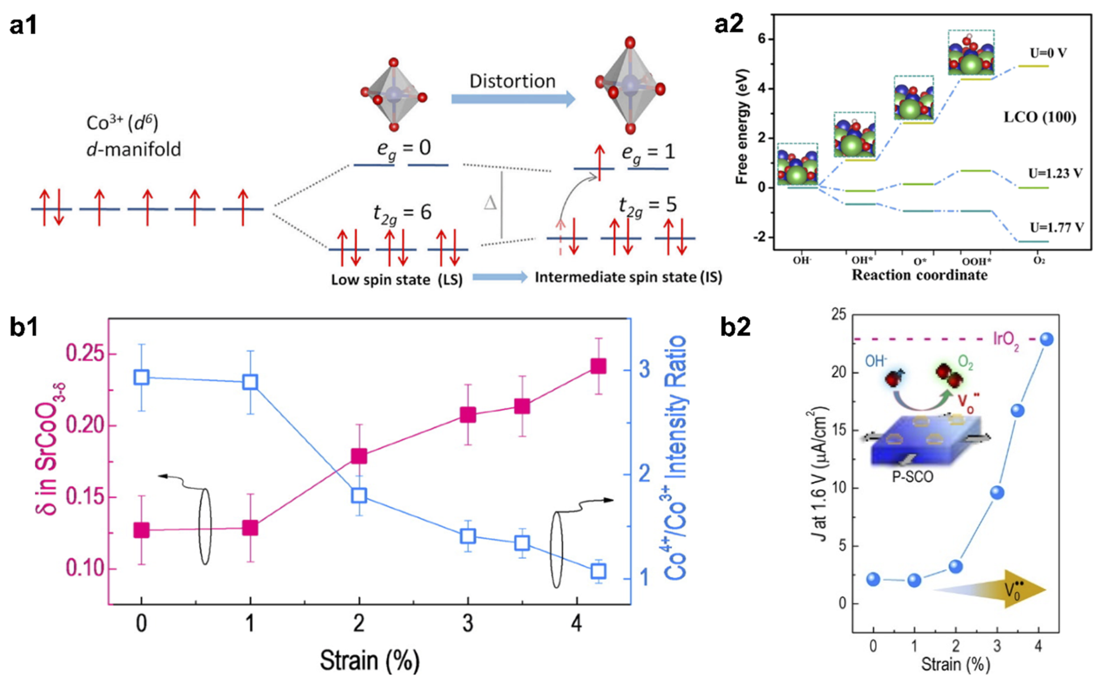 Catalysts 10 00770 g002