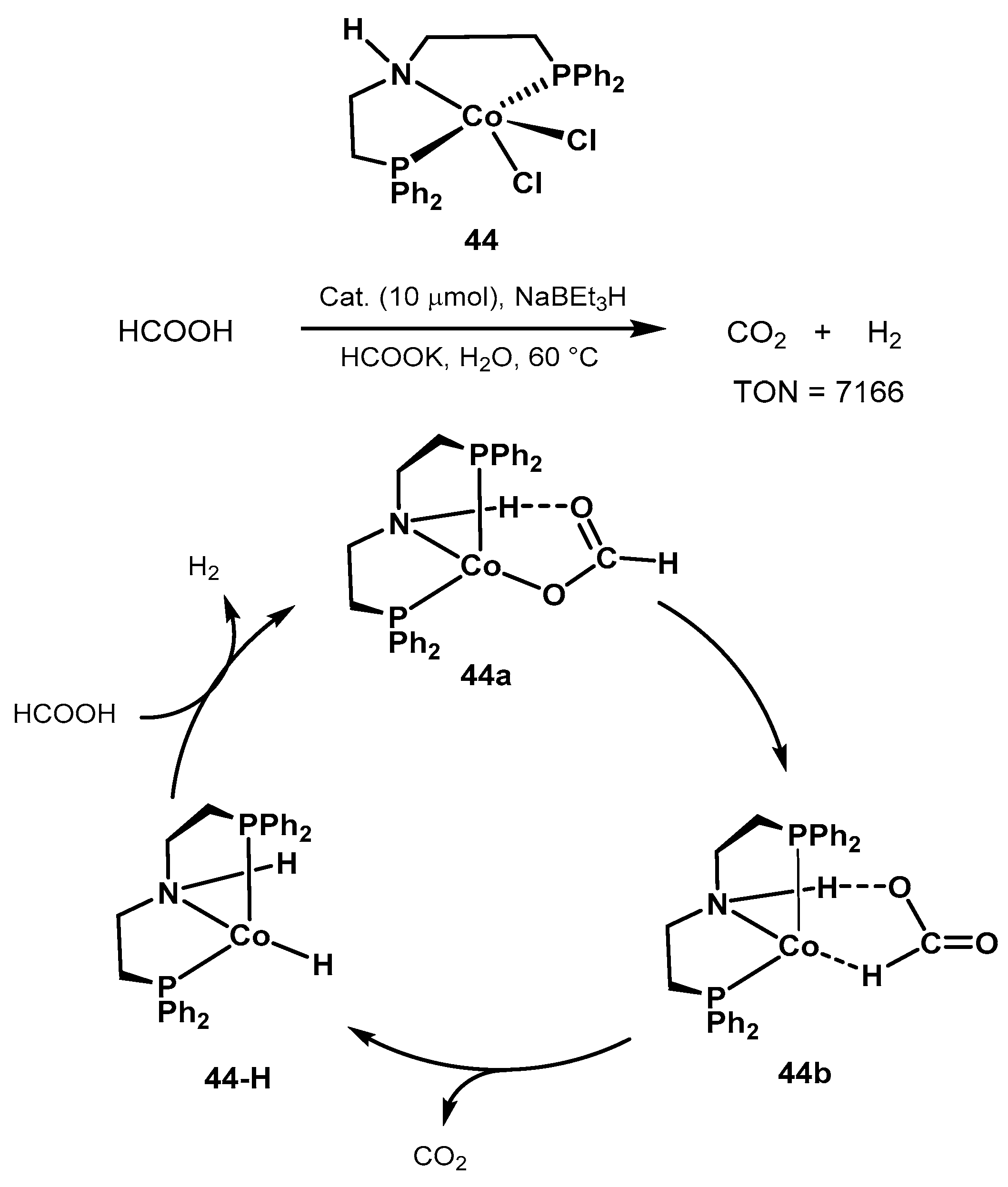 Catalysts 10 00773 sch029 Catalysts 10 00773 sch029