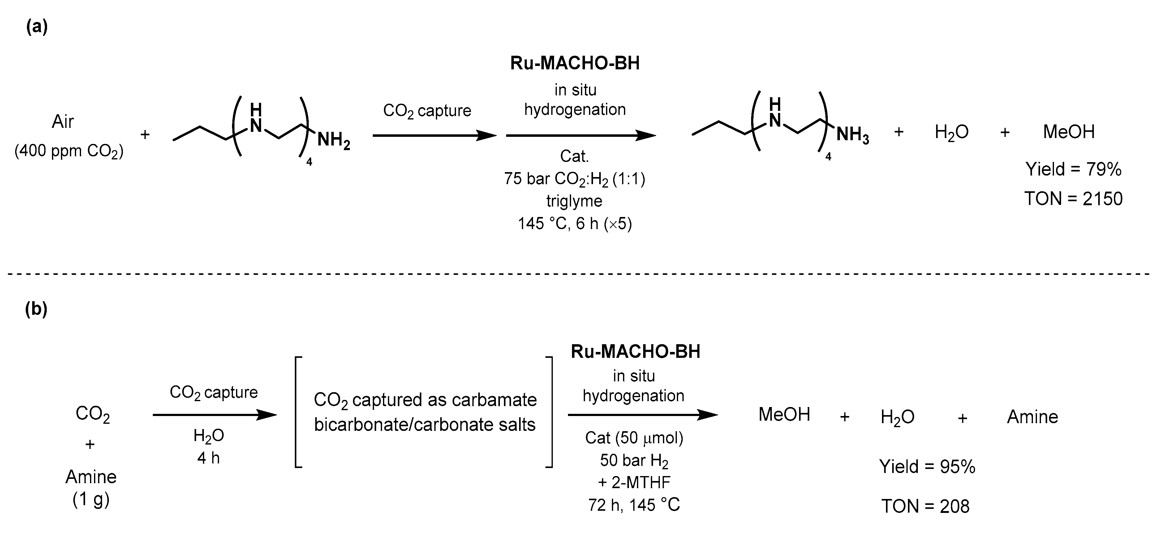 Catalysts 10 00773 sch045 Catalysts 10 00773 sch045