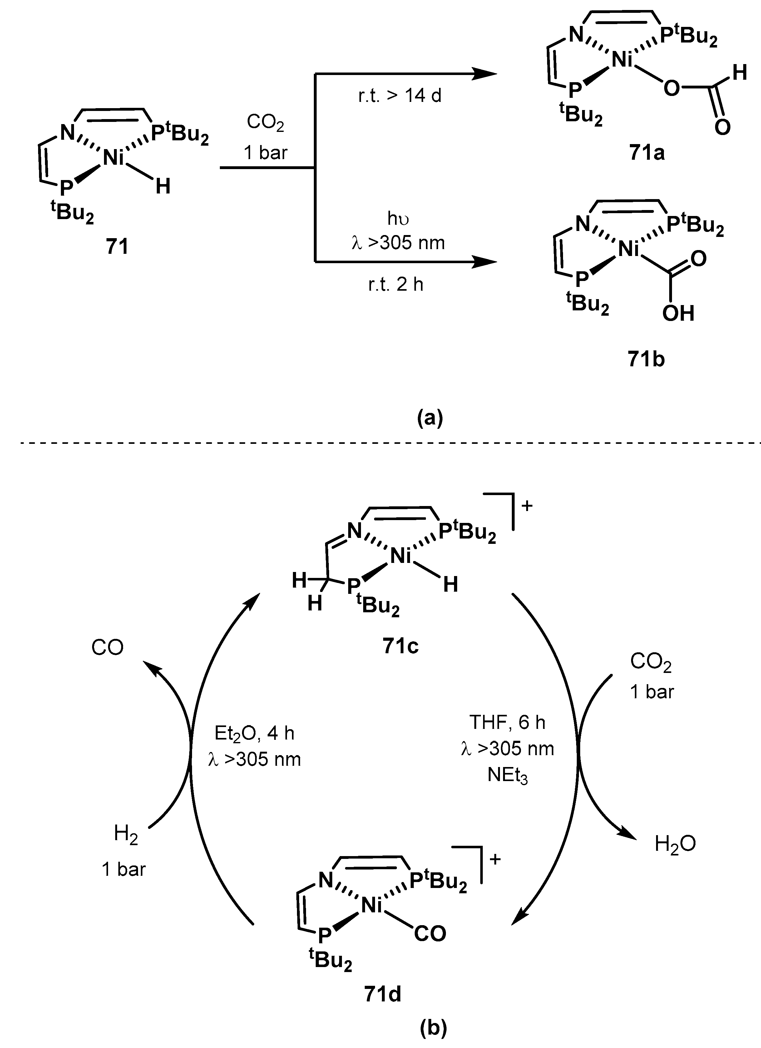 Catalysts 10 00773 sch058 Catalysts 10 00773 sch058