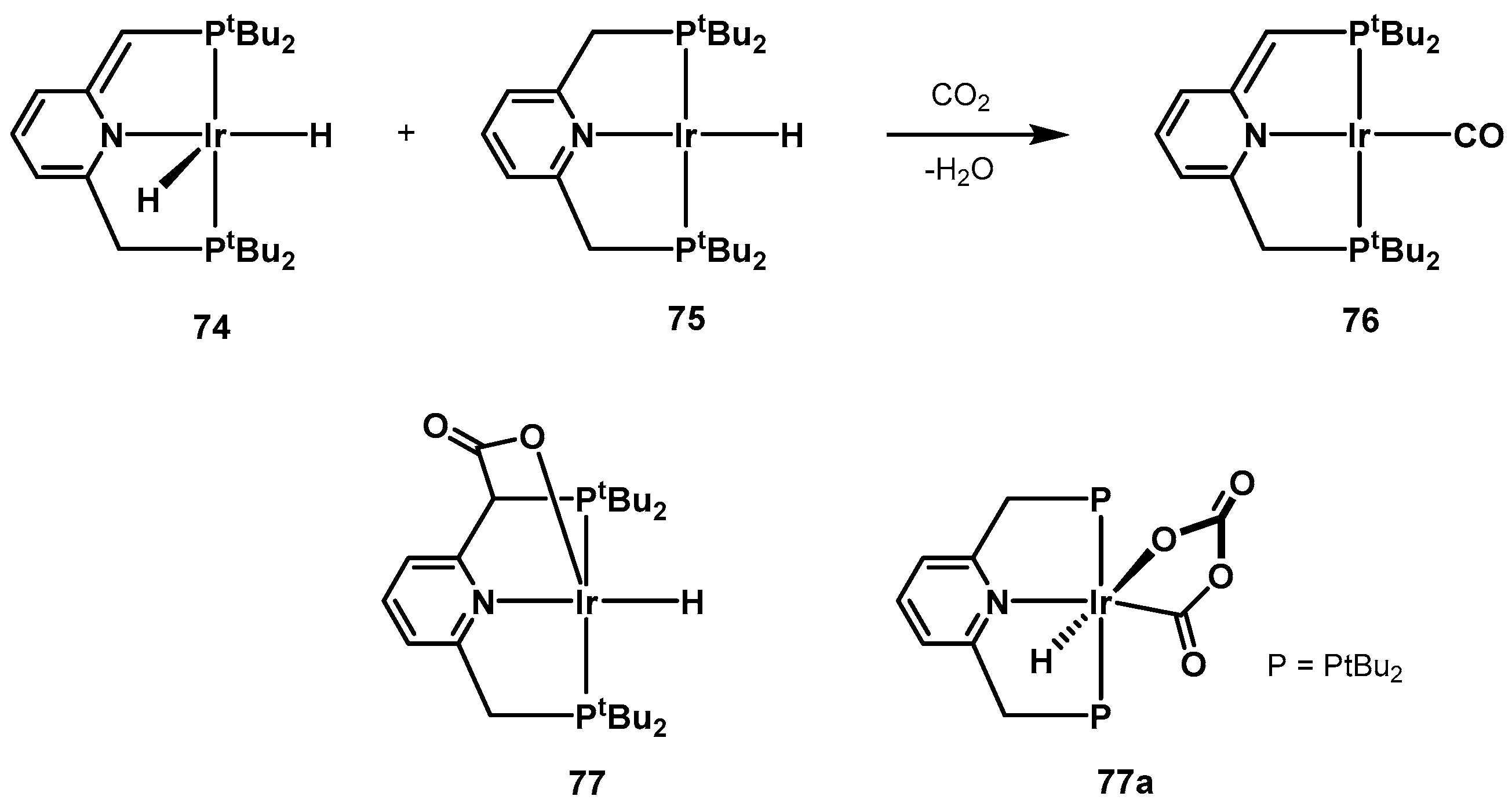 Catalysts 10 00773 sch059 Catalysts 10 00773 sch059