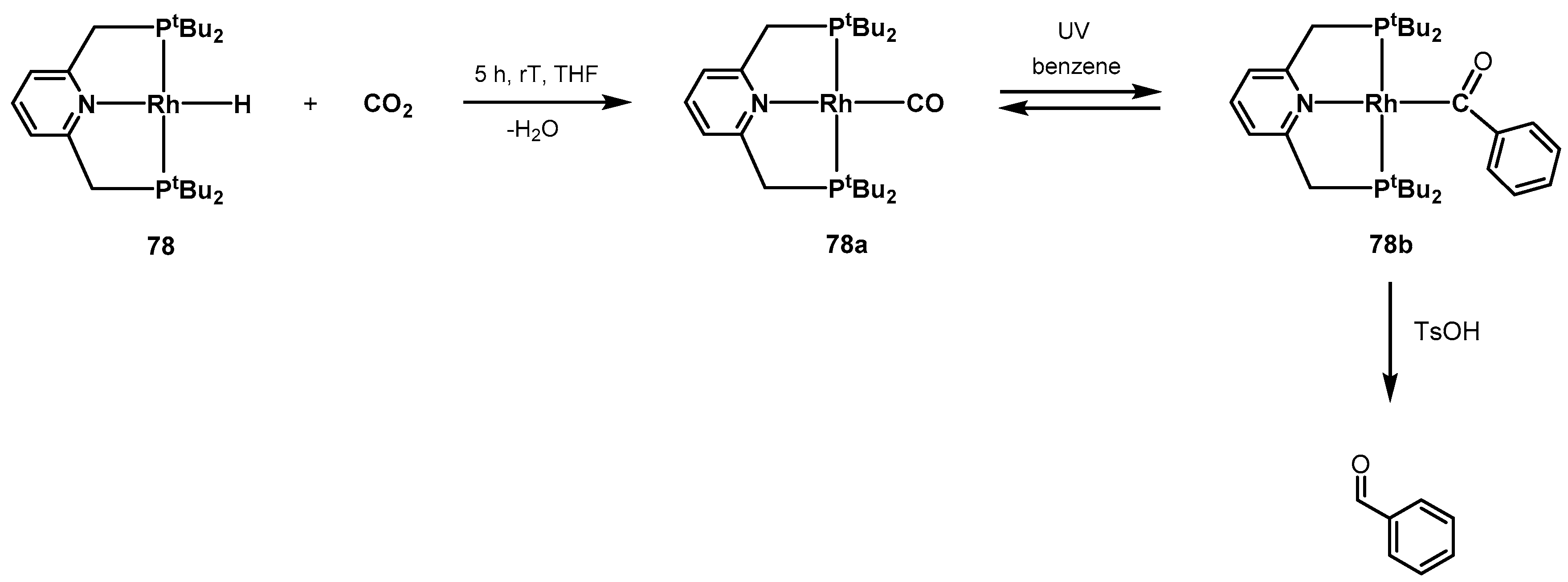 Catalysts 10 00773 sch060 Catalysts 10 00773 sch060