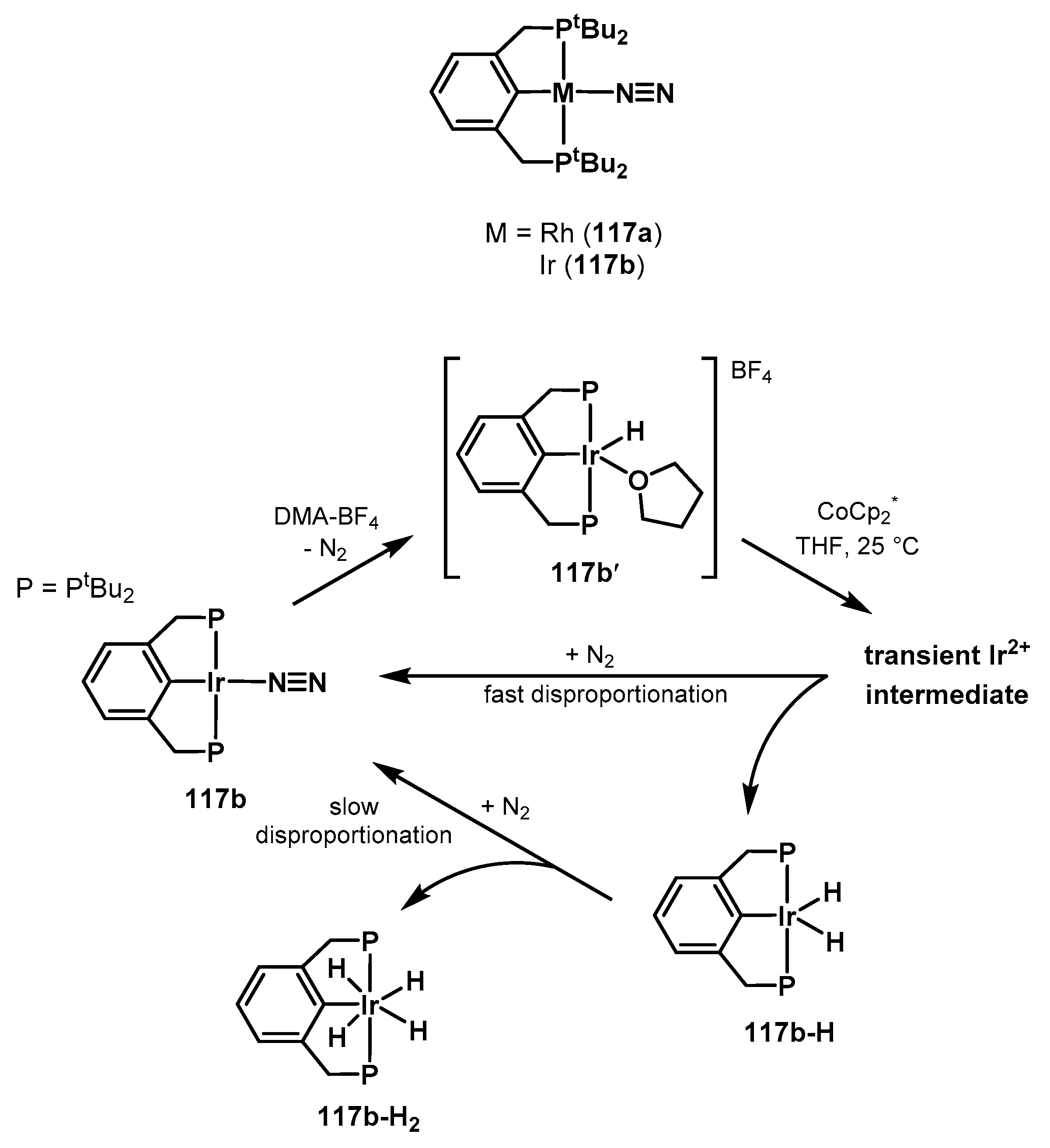 Catalysts 10 00773 sch096 Catalysts 10 00773 sch096