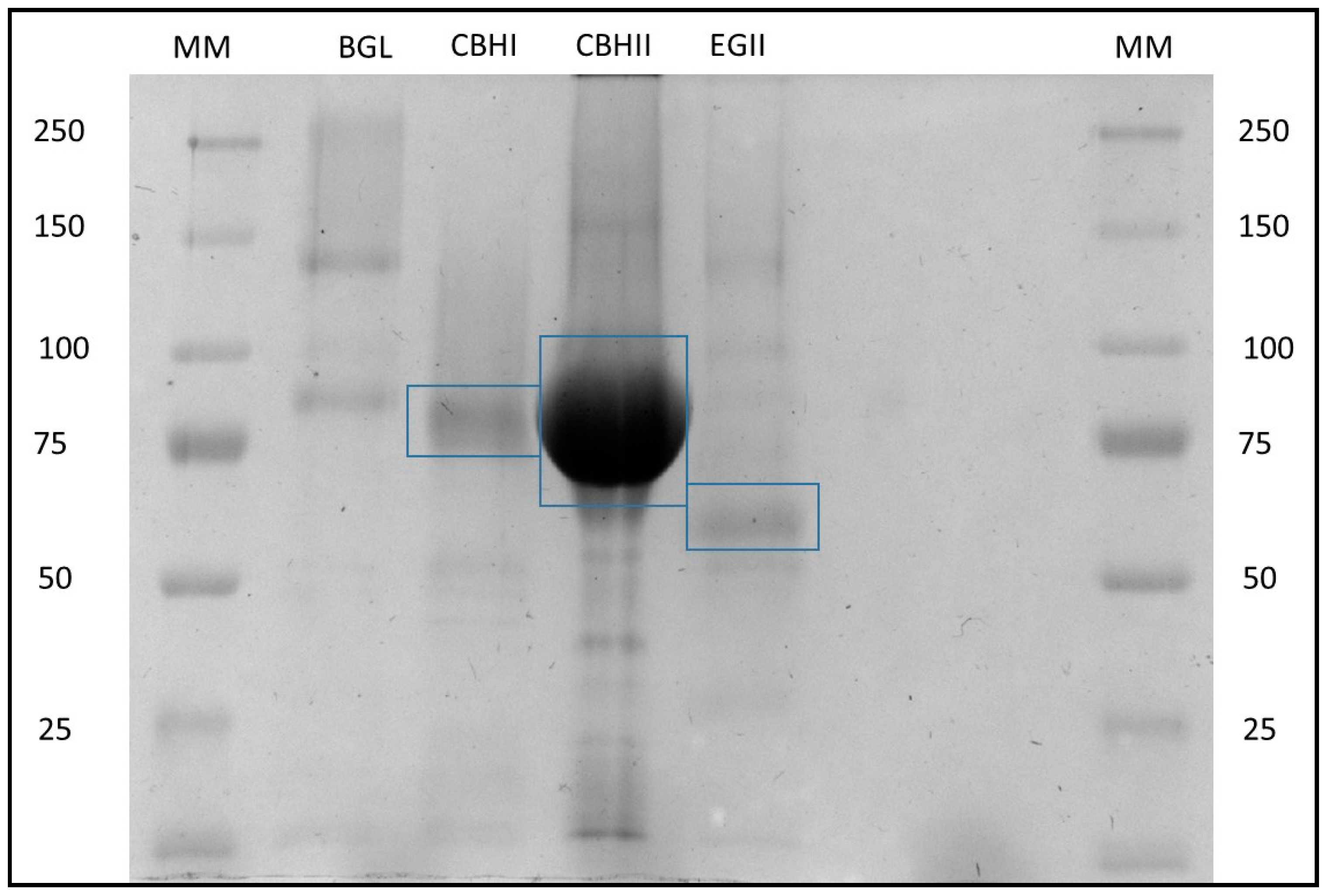 Catalysts 10 00775 g002