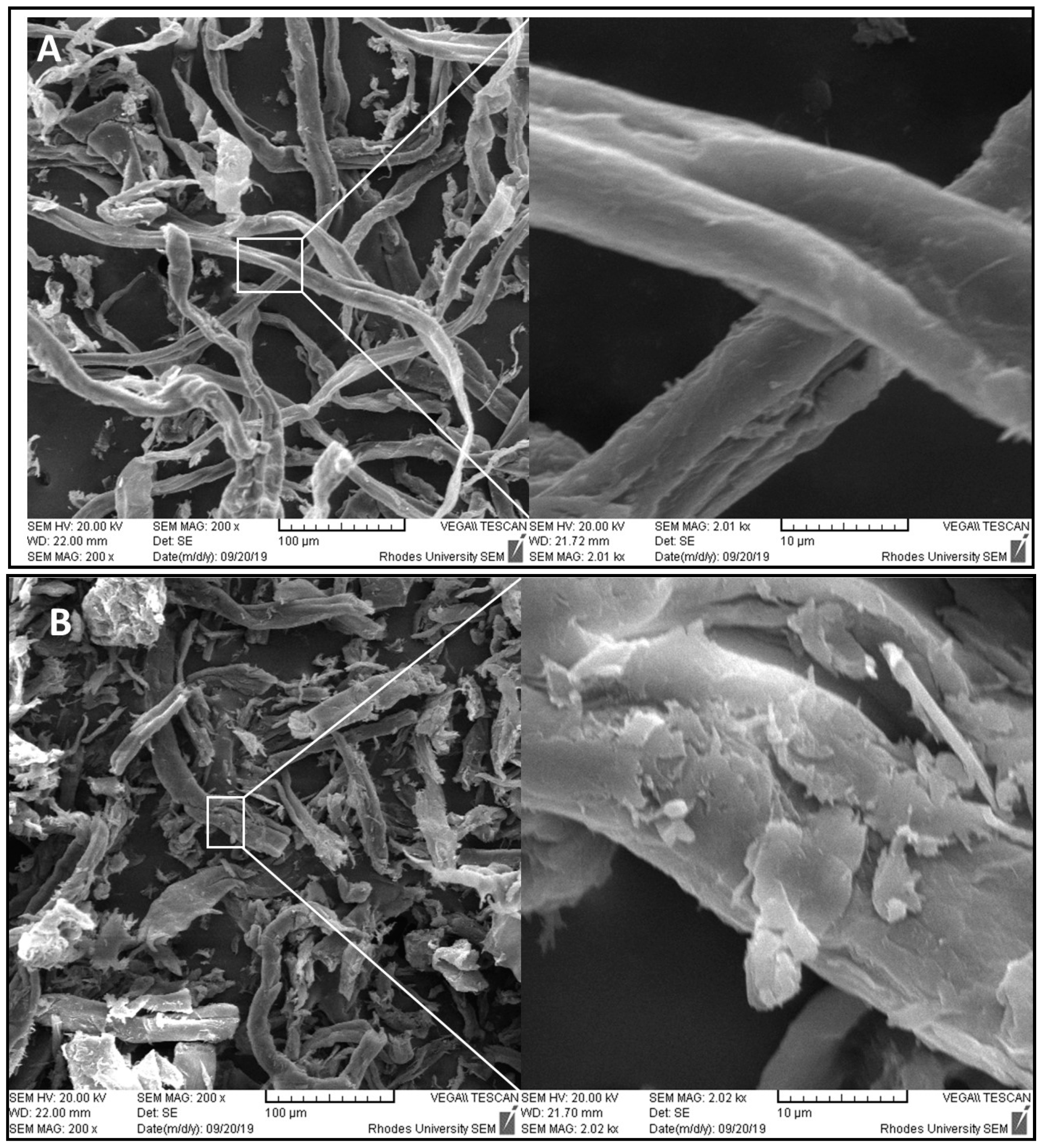 Catalysts 10 00775 g005