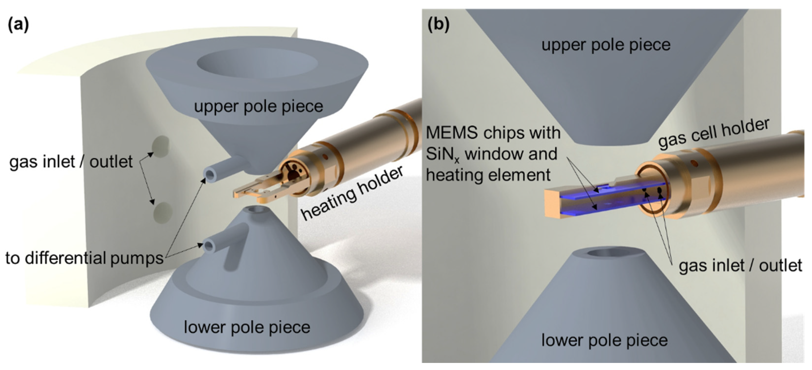 Catalysts Free FullText In Situ TEM Studies of Catalysts Using
