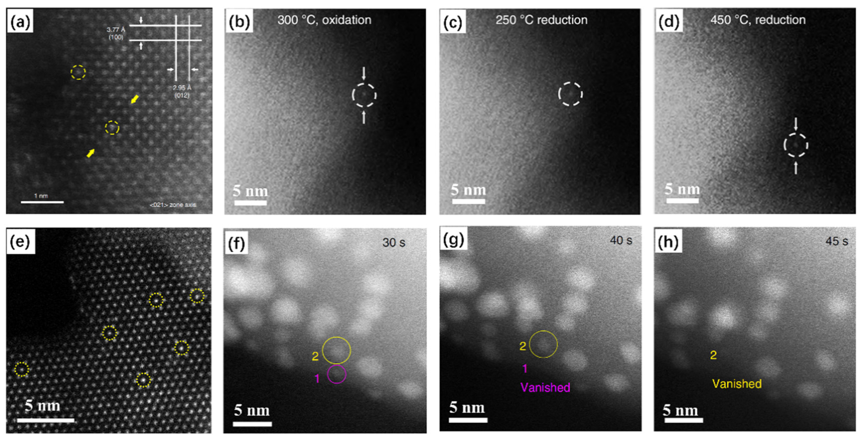 Catalysts 10 00779 g004 Catalysts 10 00779 g004