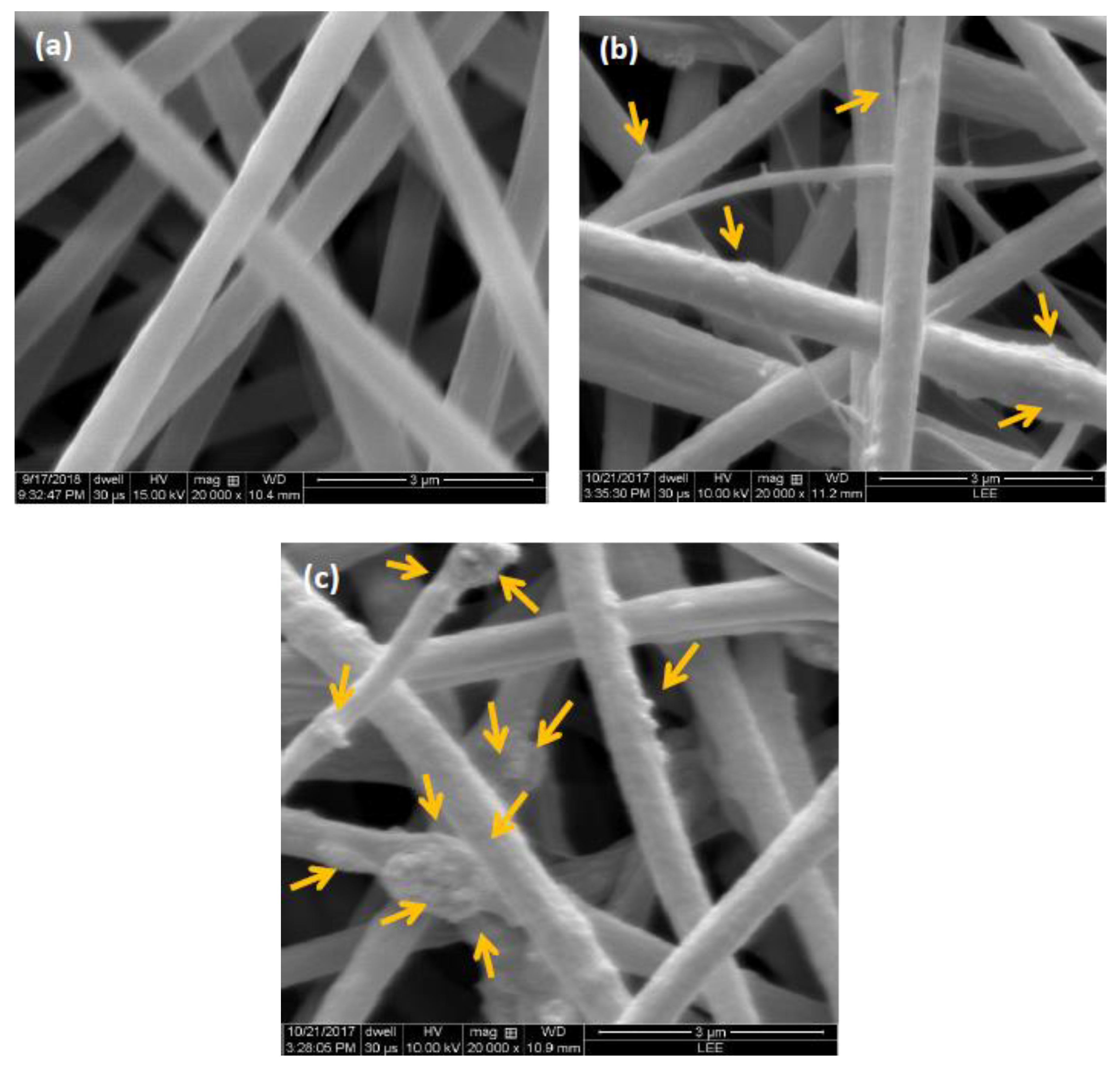 Catalysts 10 00784 g002