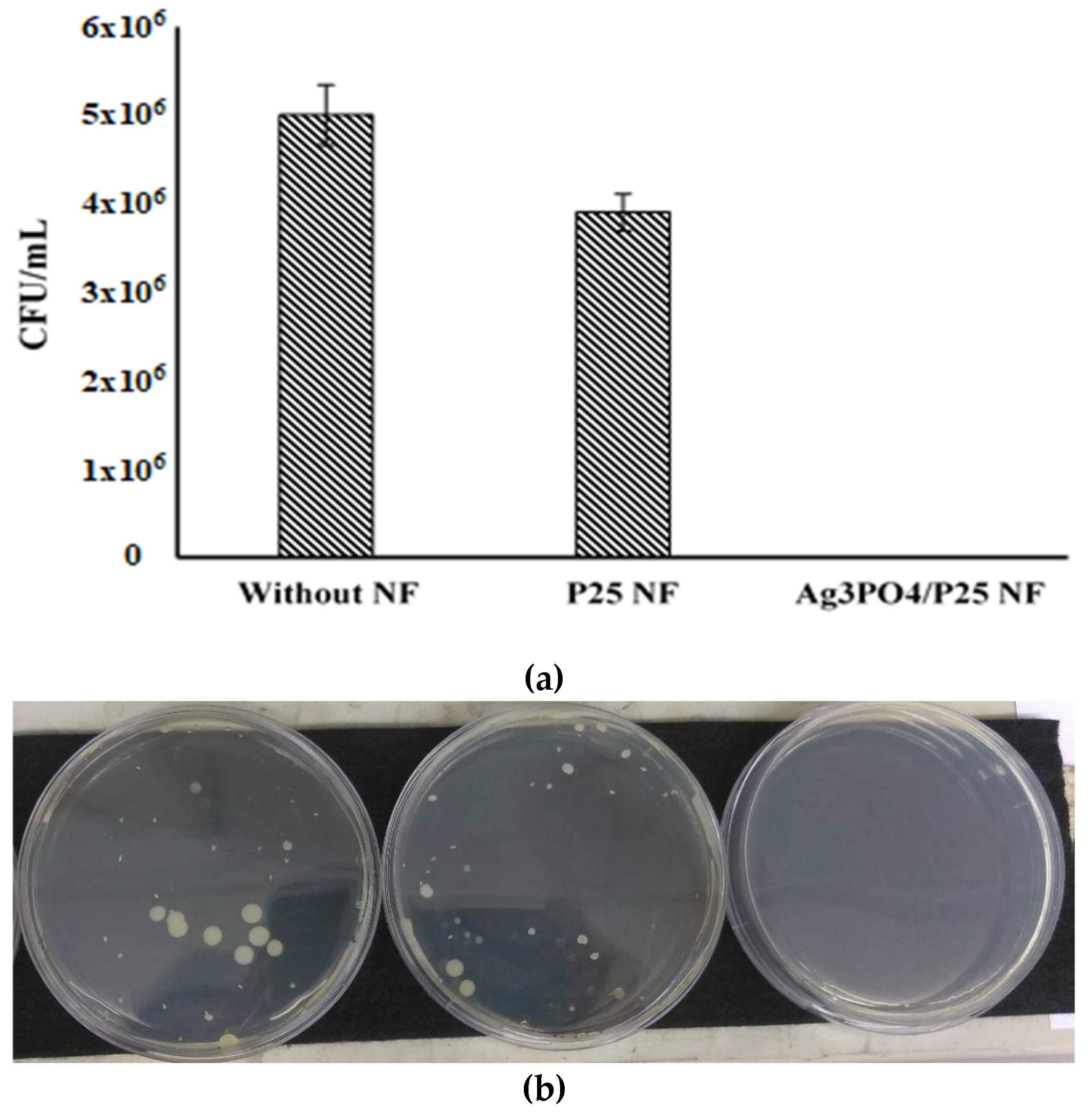 Catalysts 10 00784 g008
