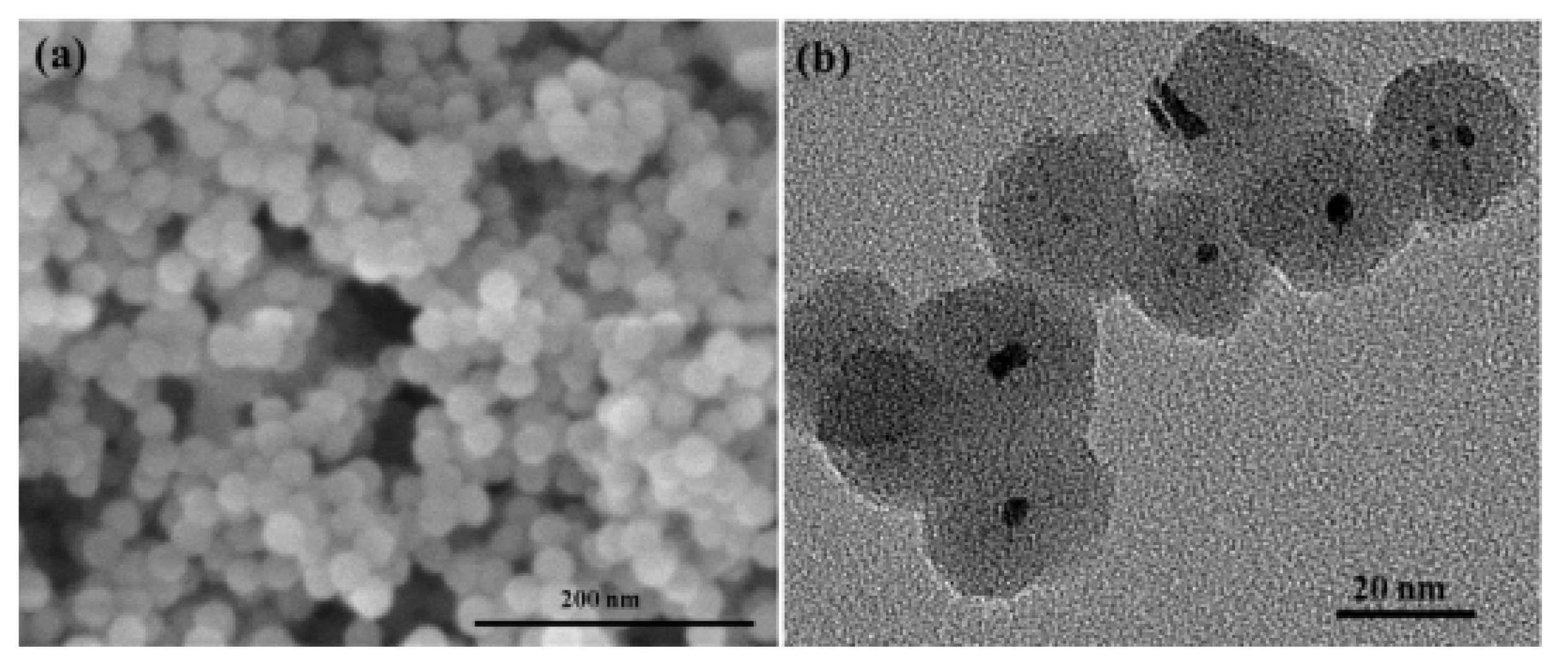 Catalysts 10 00788 g020 Catalysts 10 00788 g020