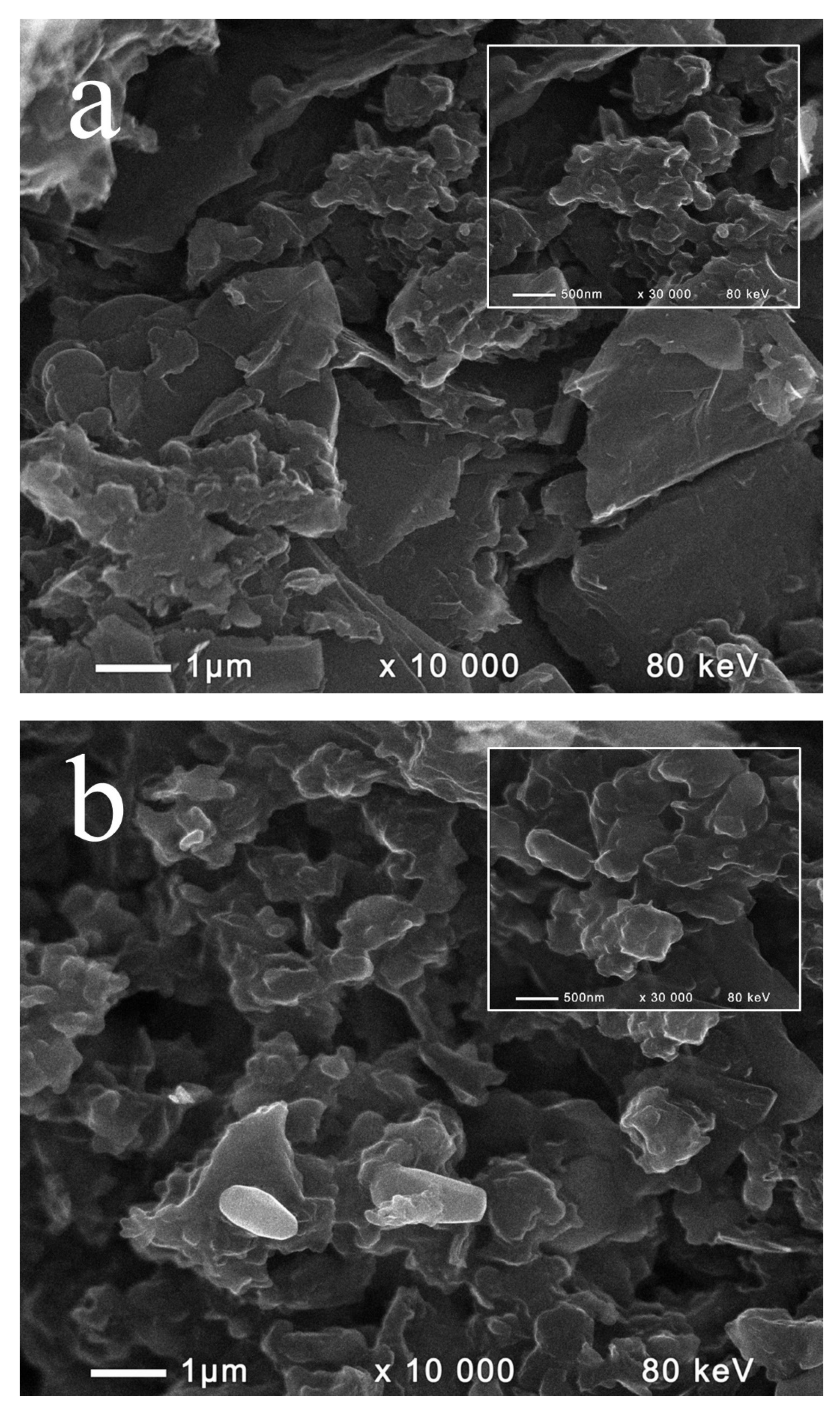 Catalysts 10 00796 g002a