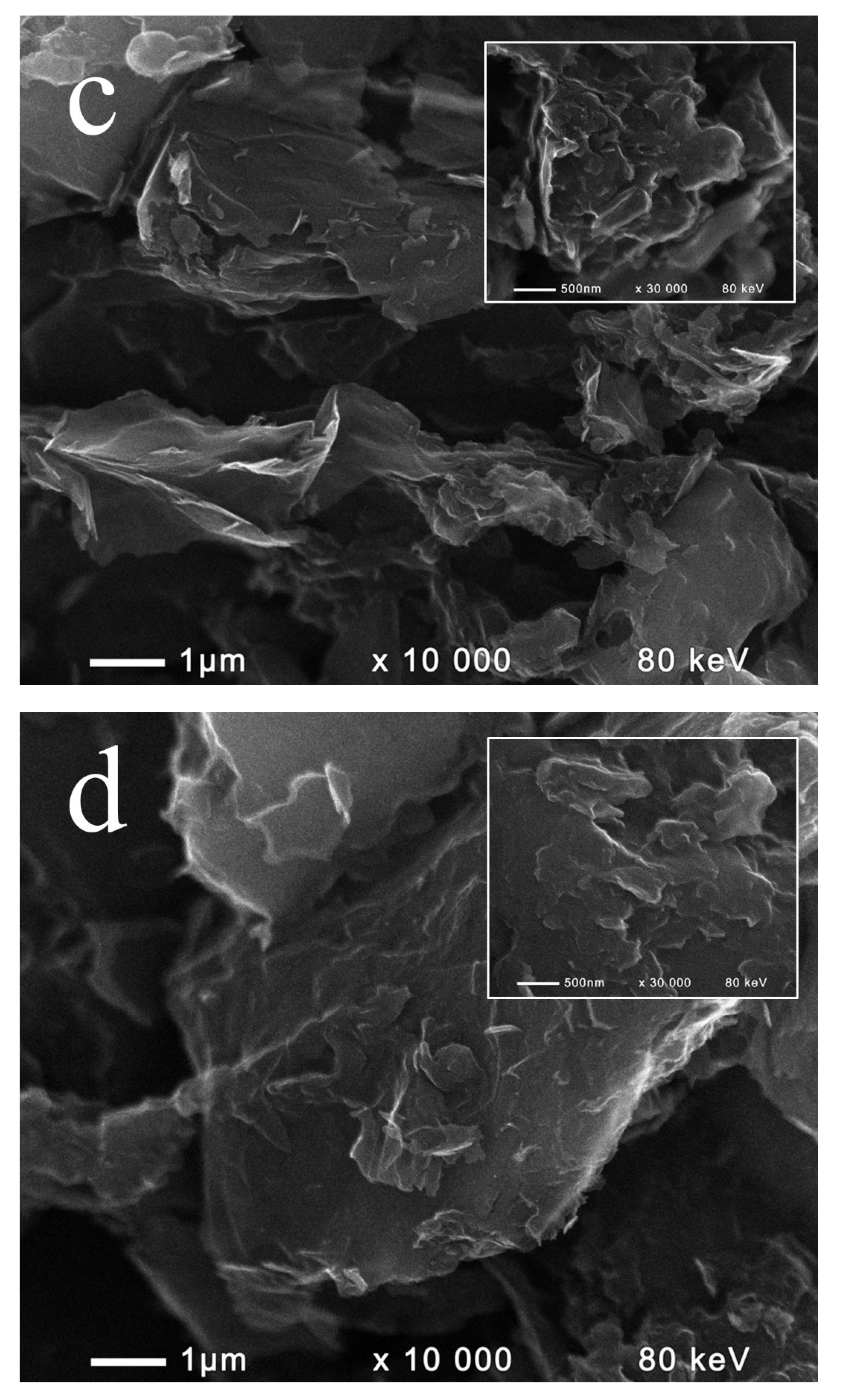 Catalysts 10 00796 g002b