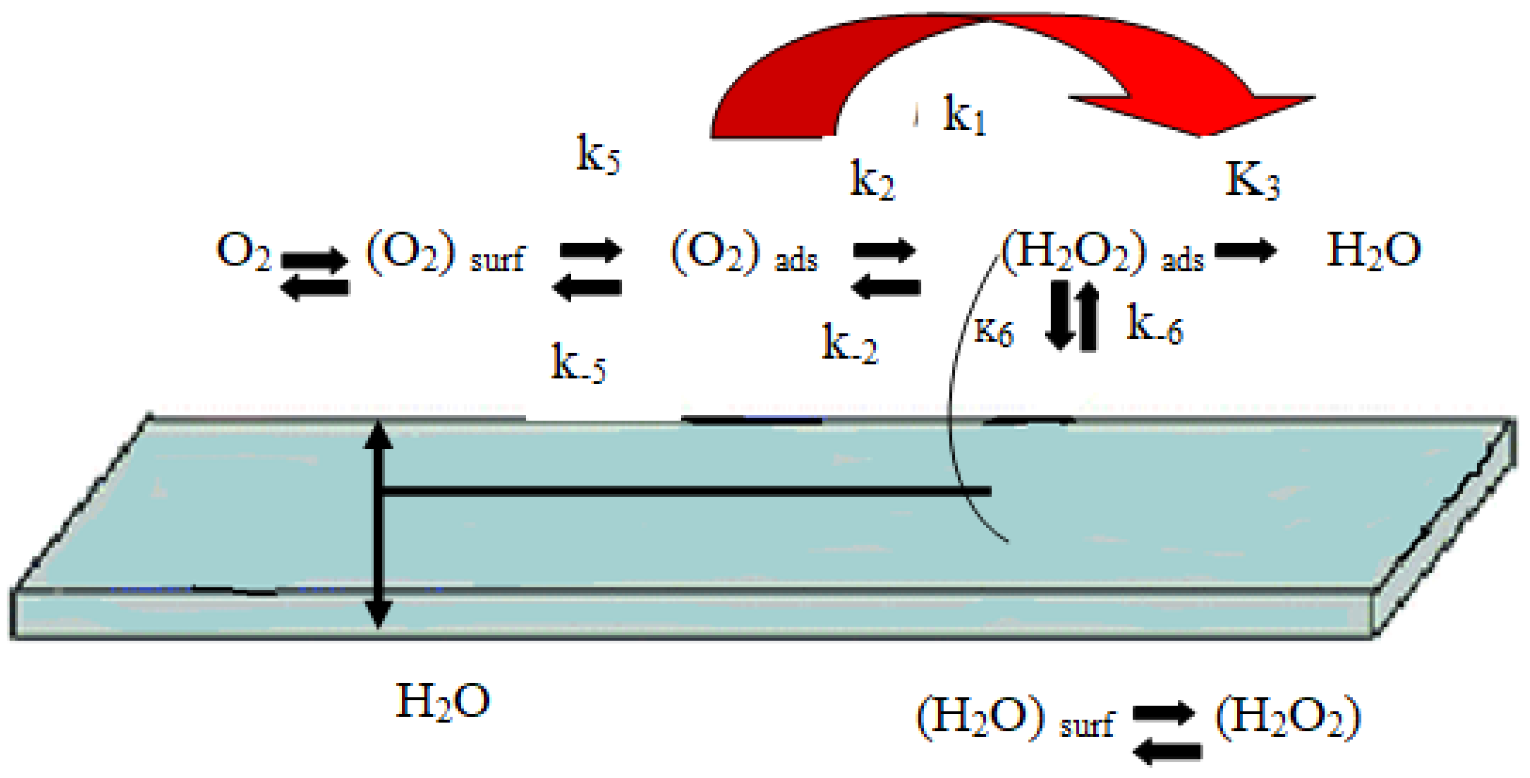 Catalysts 10 00799 g008