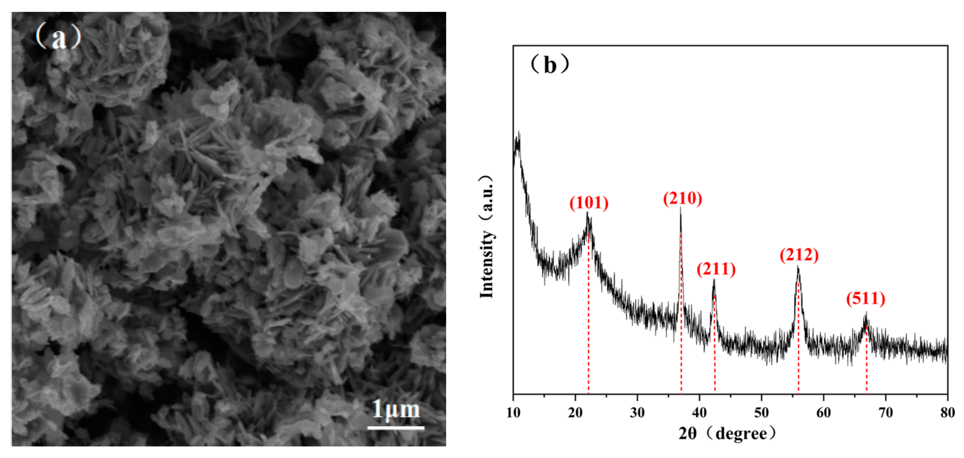 Catalysts 10 00802 g001
