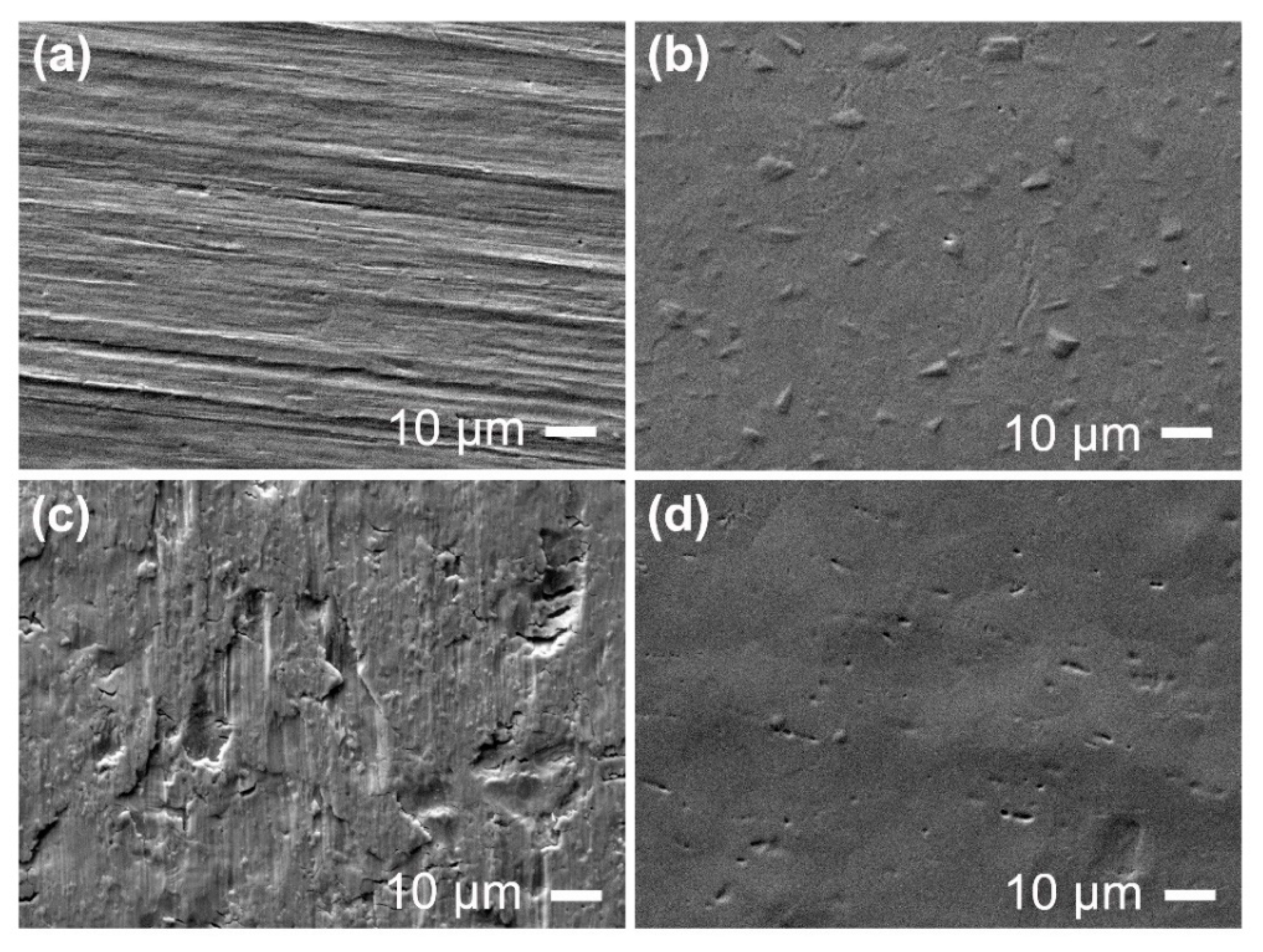 Catalysts 10 00803 g001 Catalysts 10 00803 g001