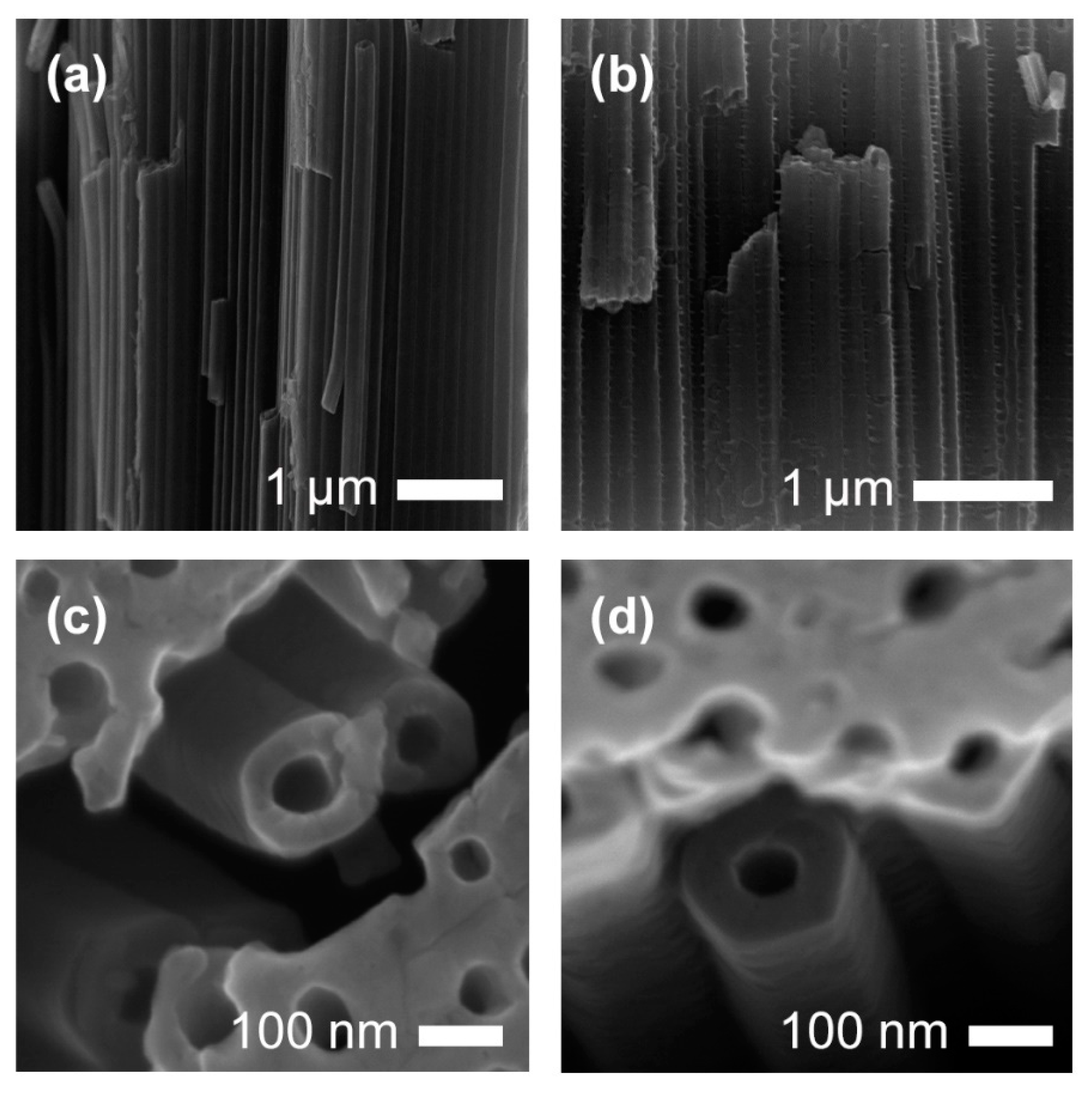 Catalysts 10 00803 g005 Catalysts 10 00803 g005
