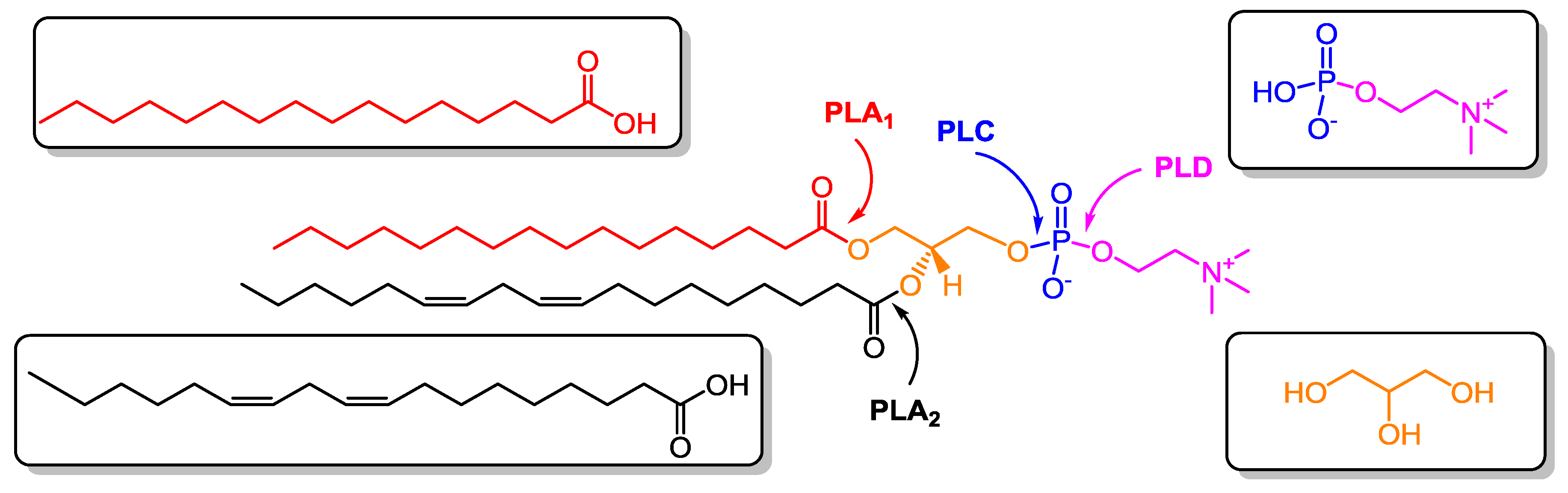 Catalysts 10 00809 sch001