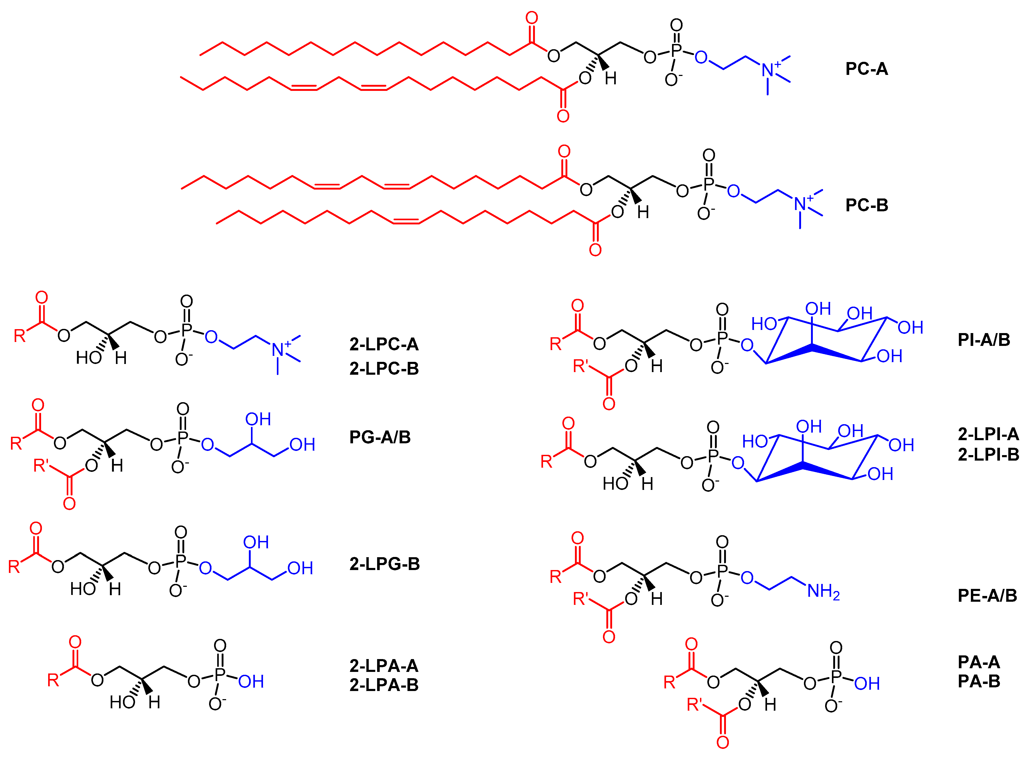 Catalysts 10 00809 sch003