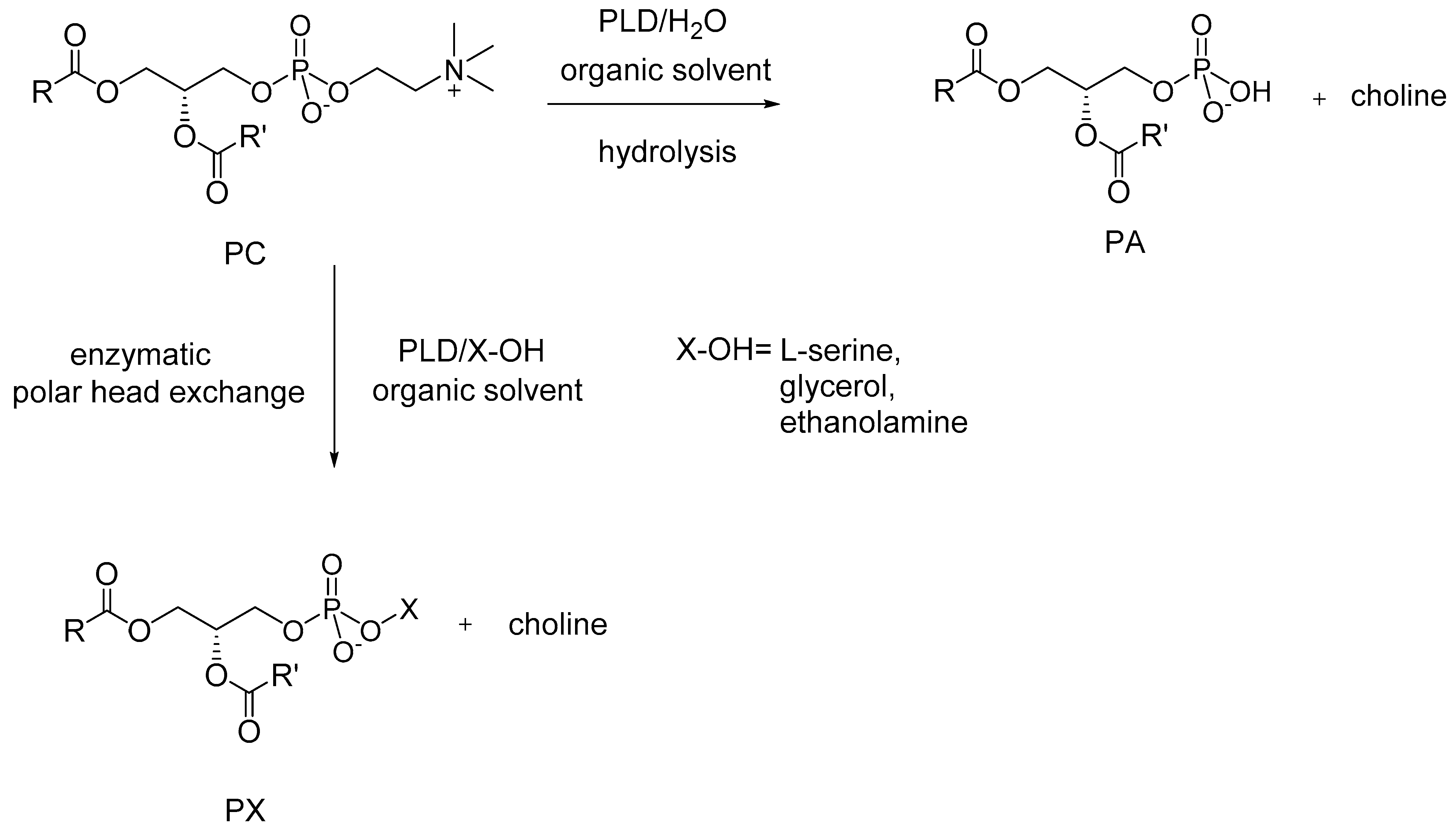 Catalysts 10 00809 sch004