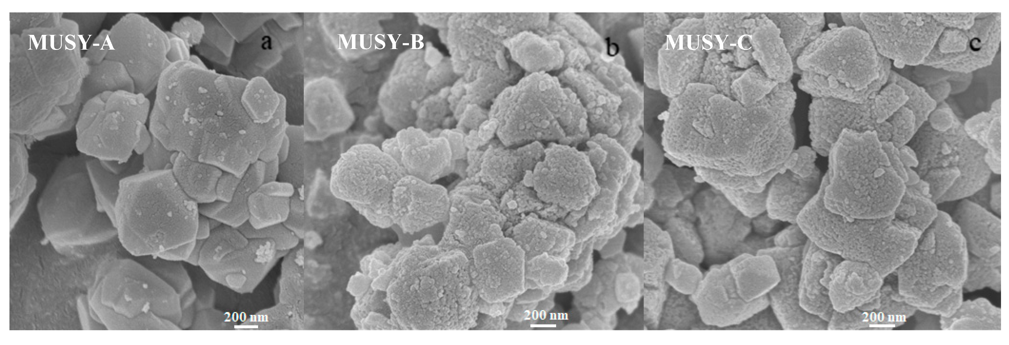 Catalysts 10 00815 g002 Catalysts 10 00815 g002