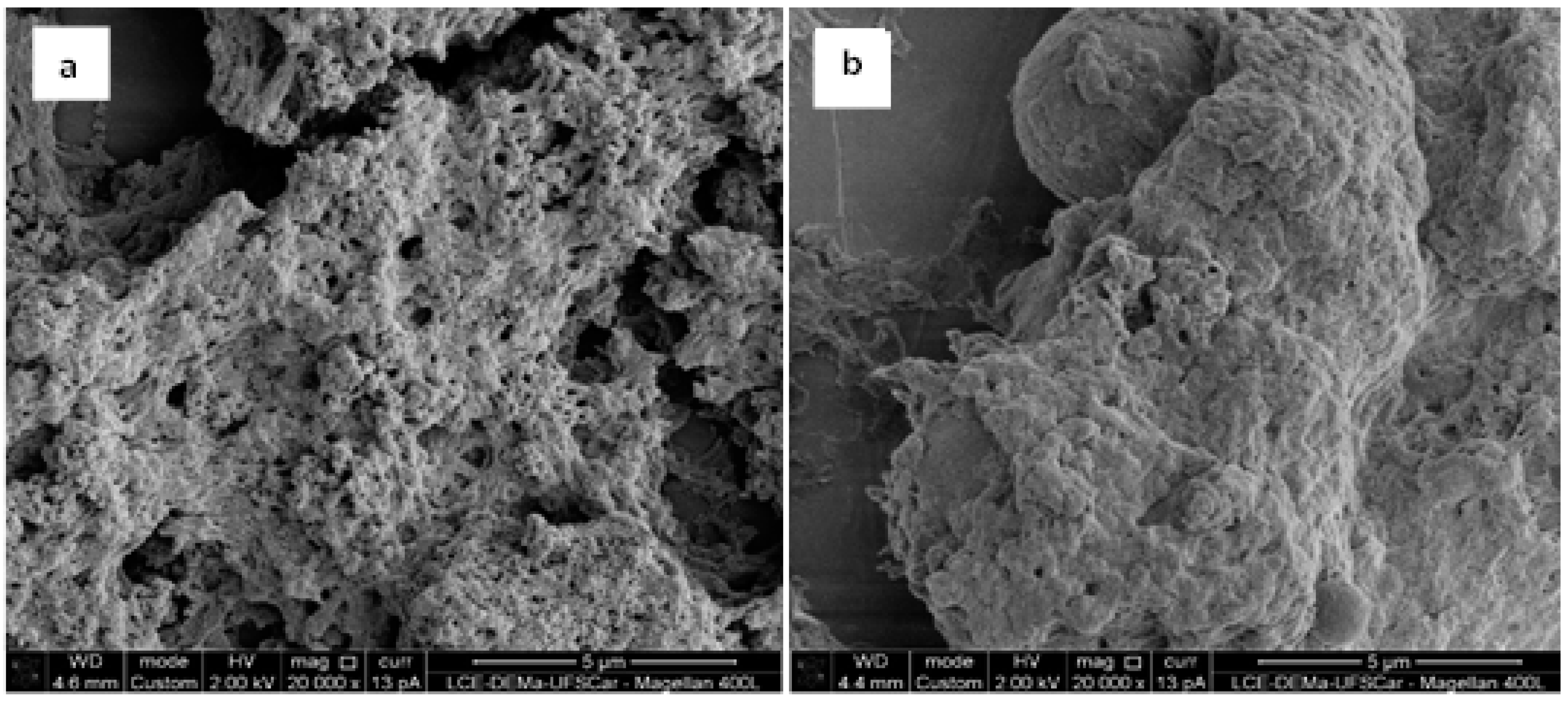 Catalysts 10 00817 g003