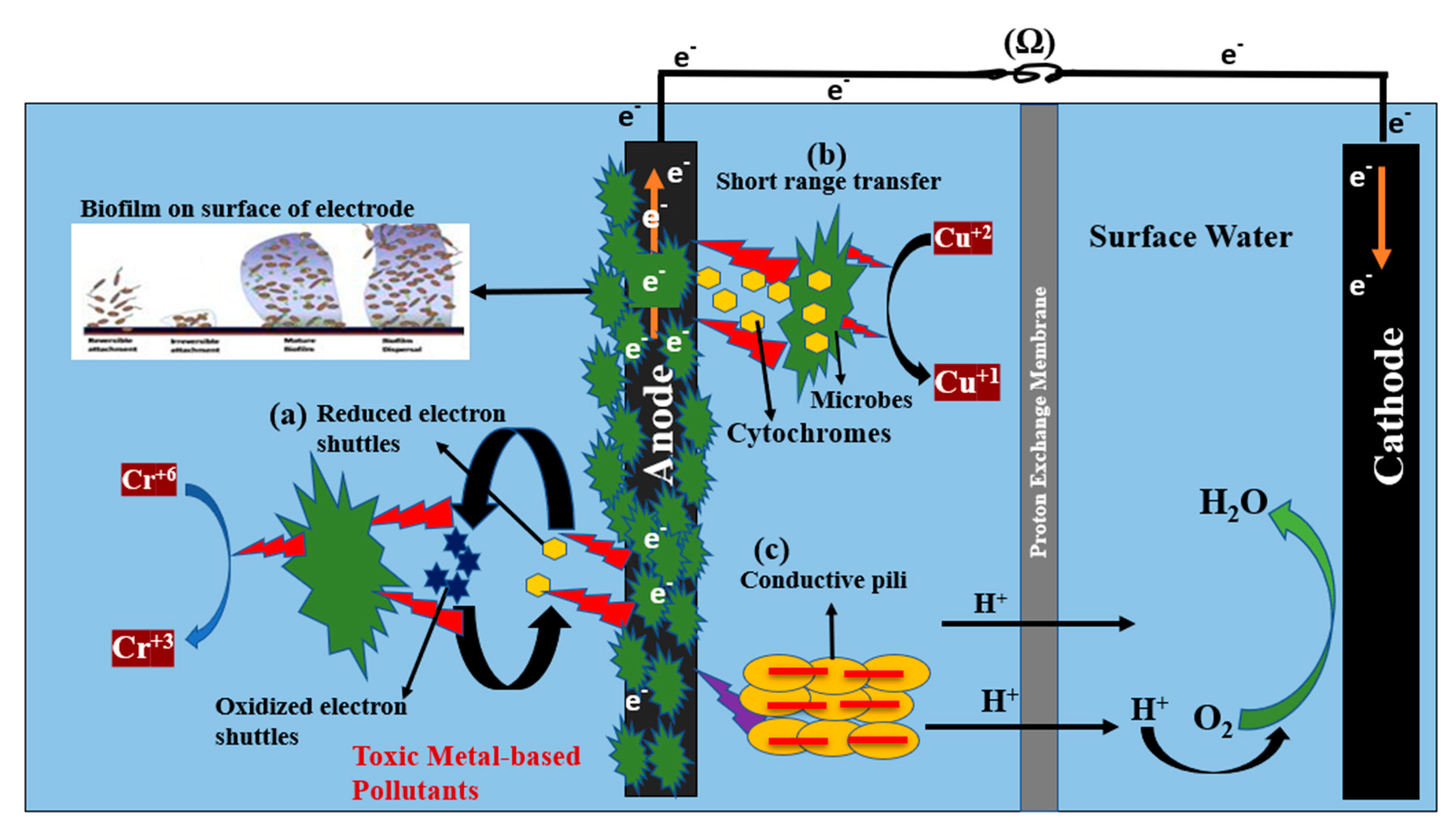 Catalysts 10 00819 g002 Catalysts 10 00819 g002